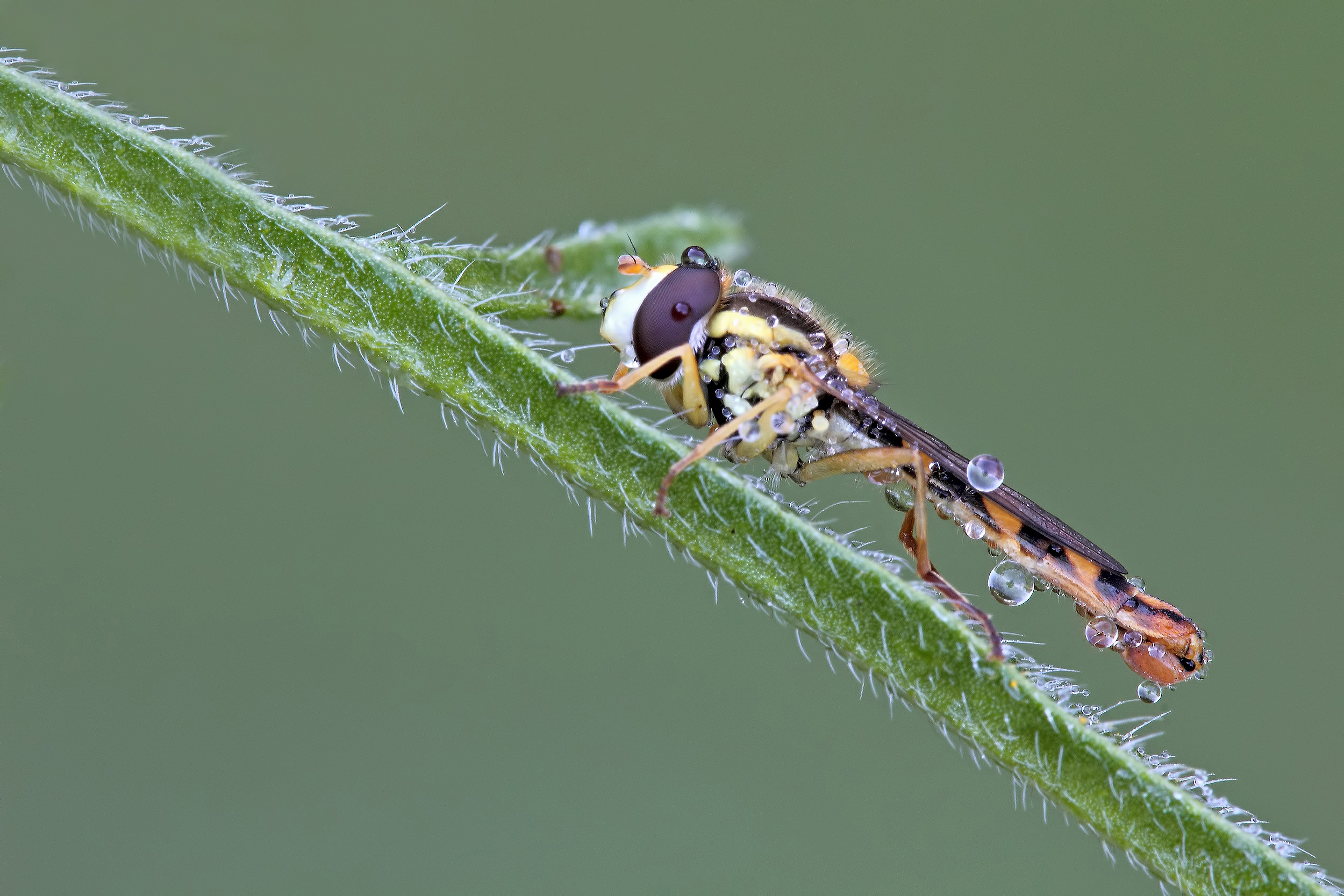 Always has a certain charm ...!