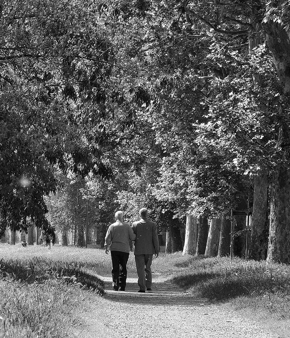 Verso il viale del tramonto...