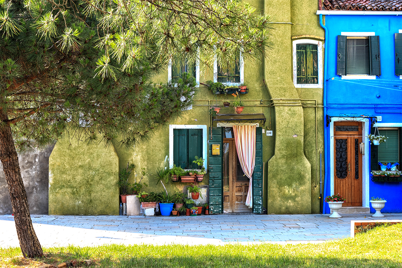 Colours and life ...