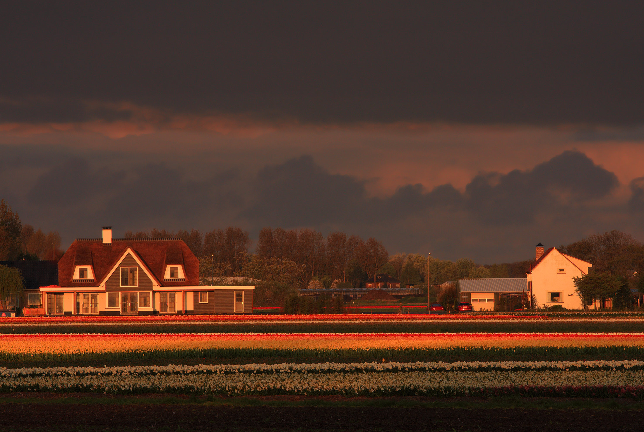 Alba minacciosa..........