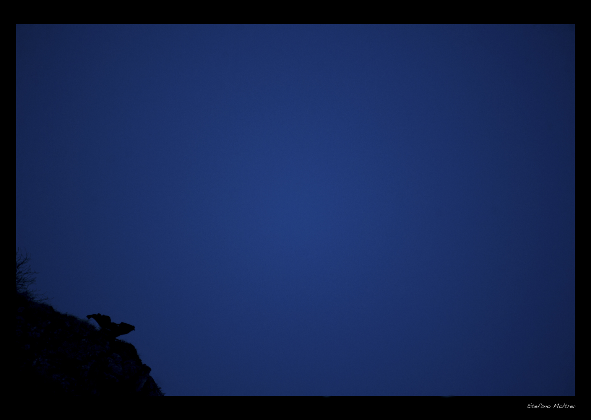 Spilhu'-BirkhÃ-Grouse ---- First breath