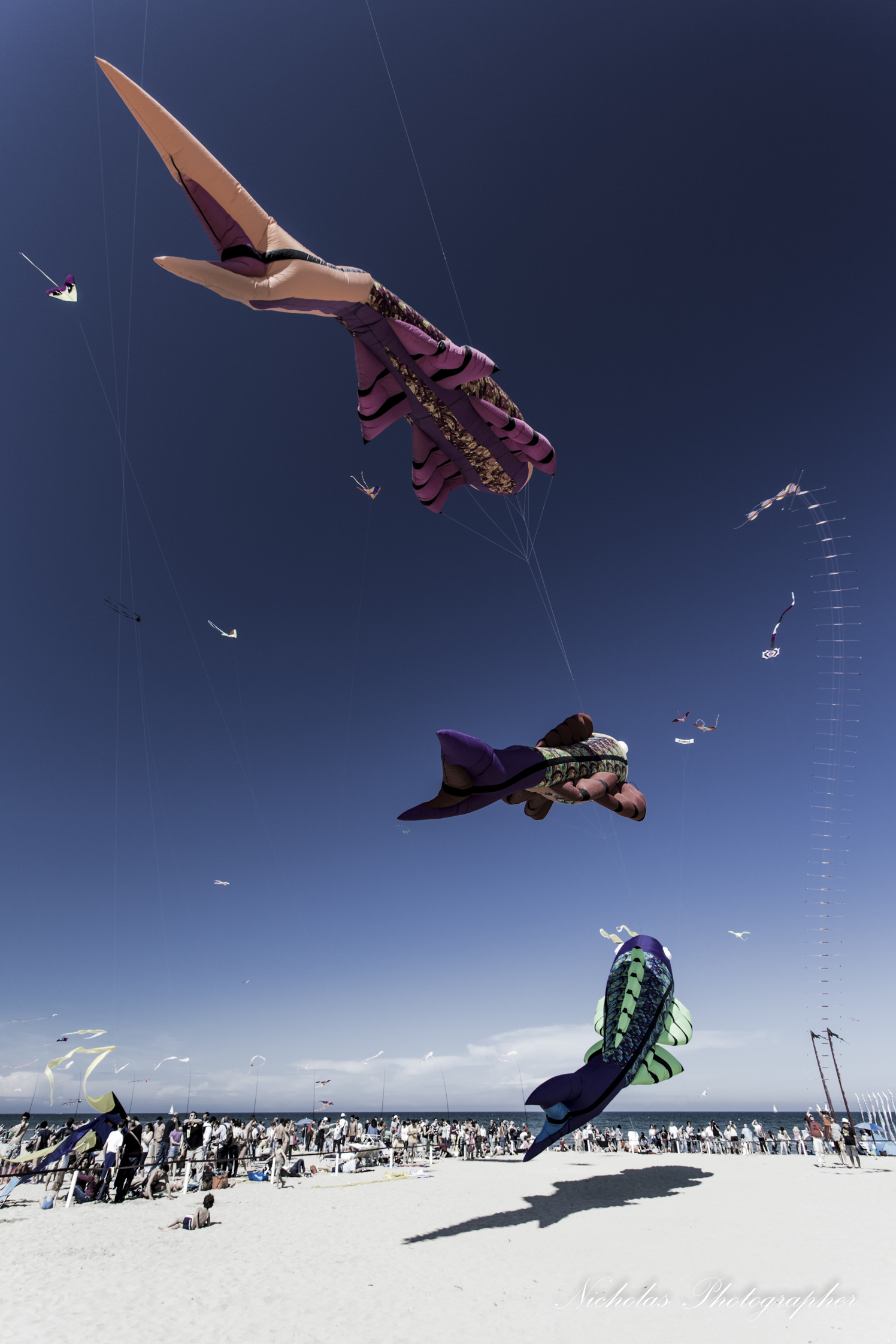 Kites Cervia 2014