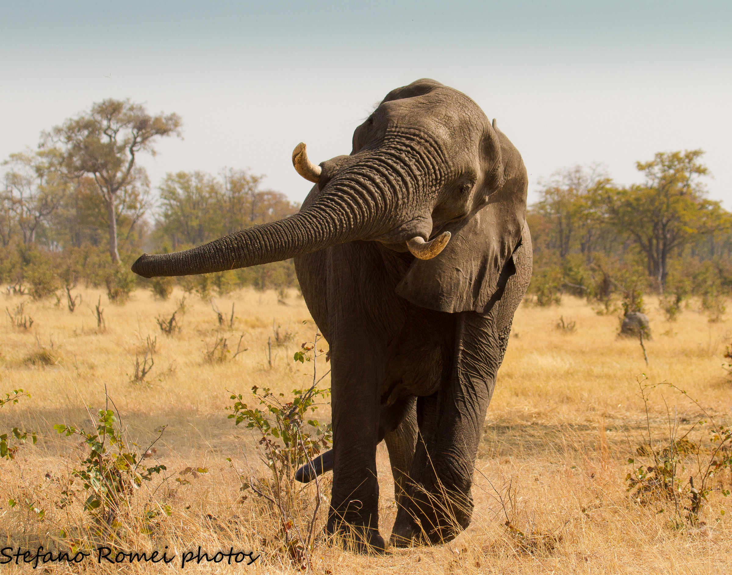 pornostar,da non vedere in HD