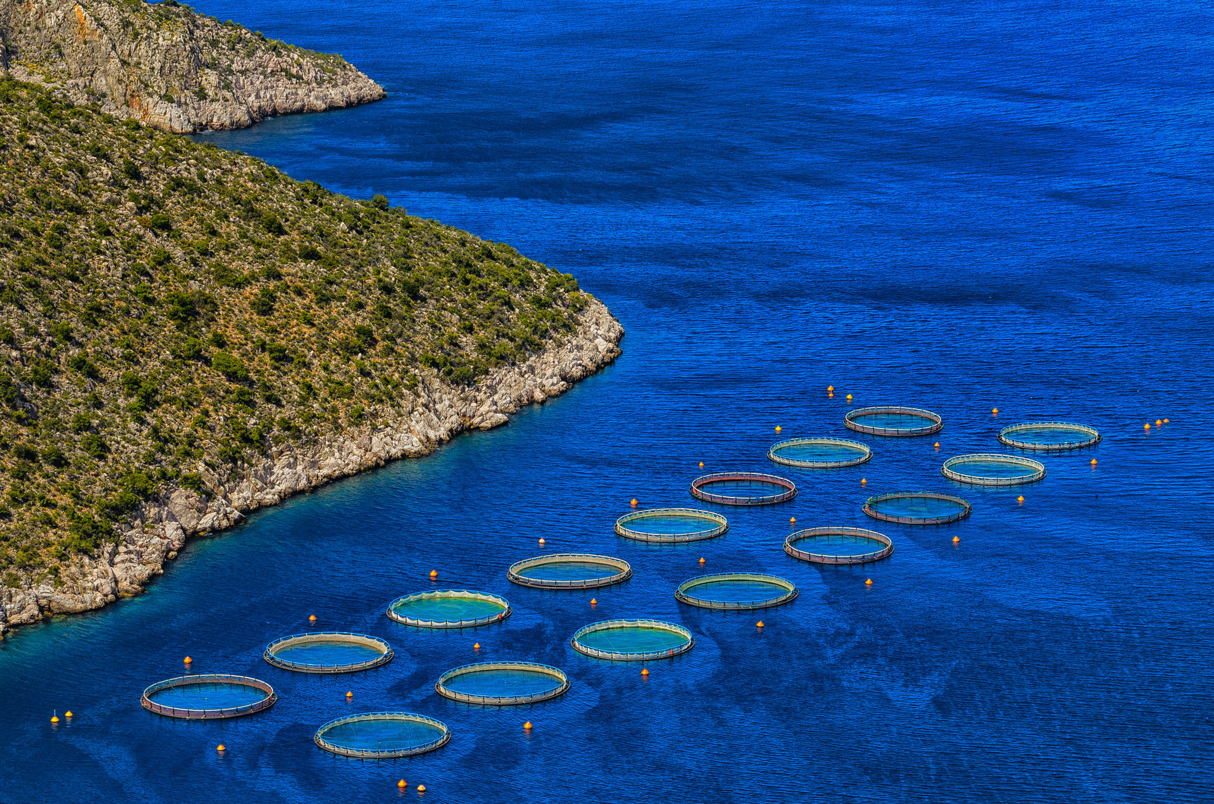 Fish Farming