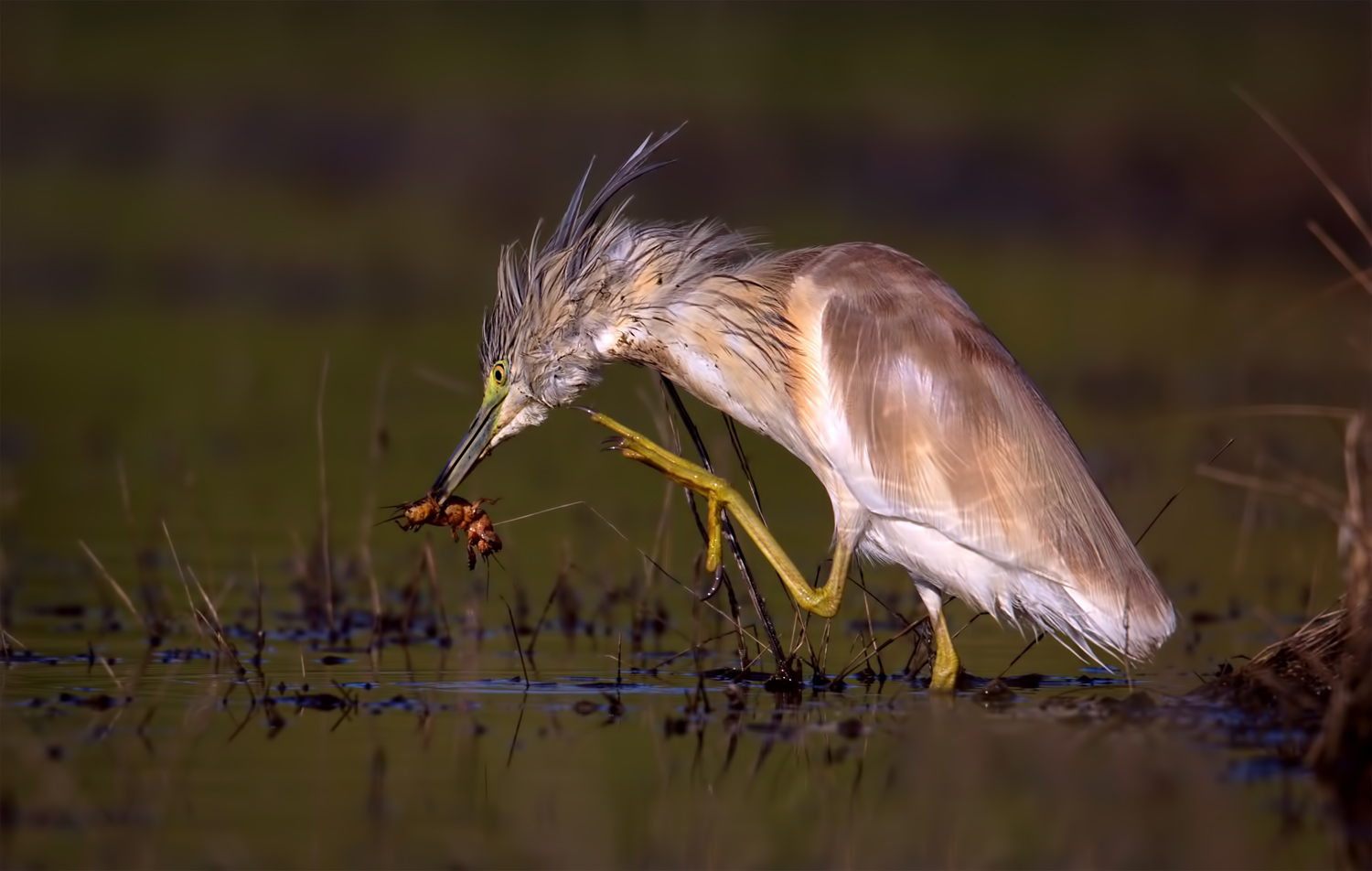 e mo!... me te magno !!