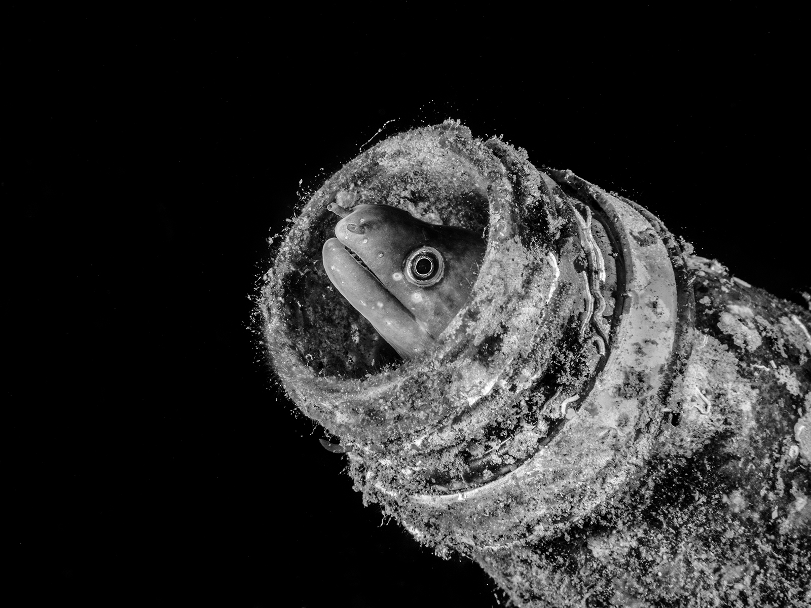 Interazione uomo-natura