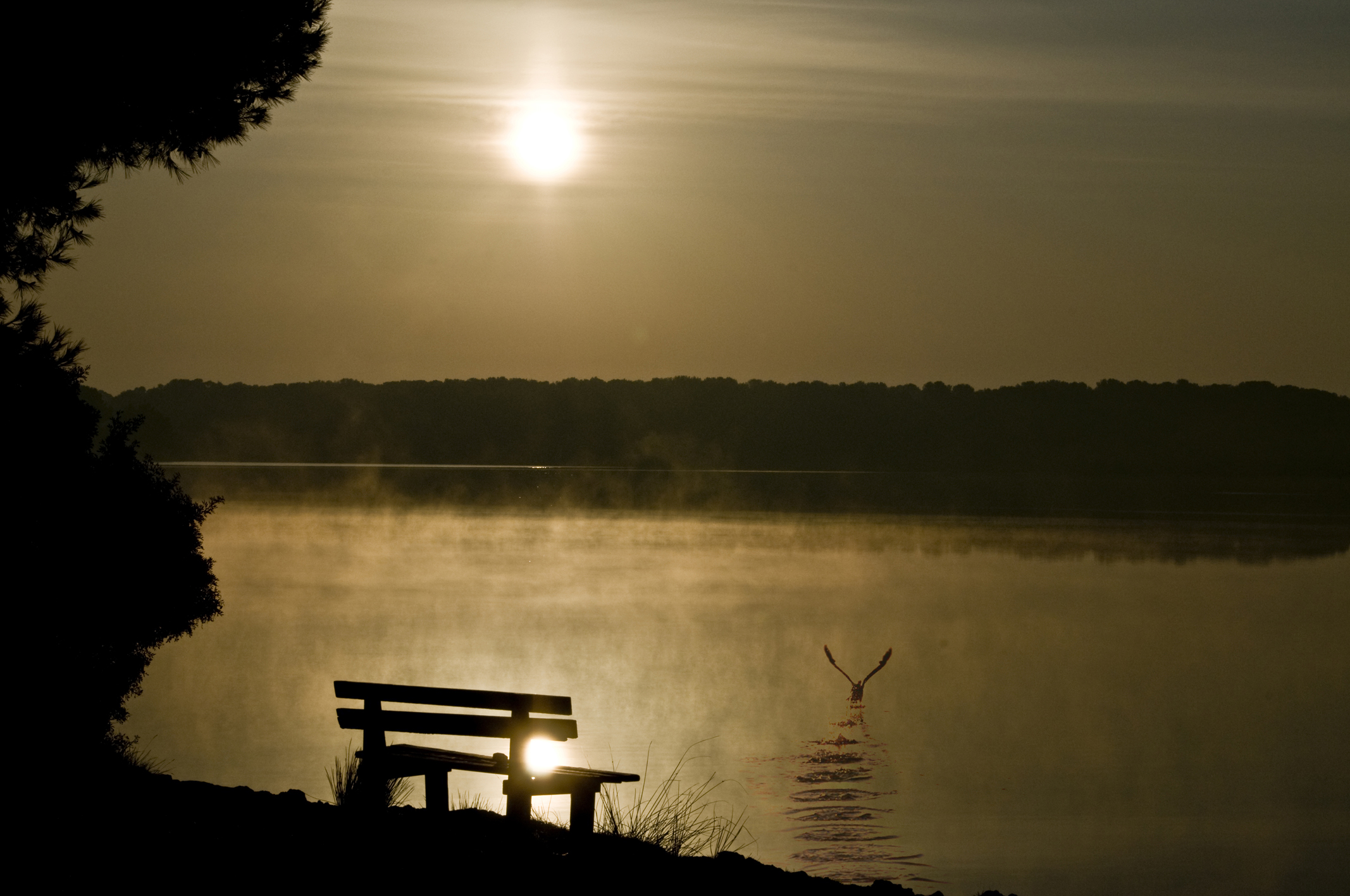 Alimini, mist Landscape