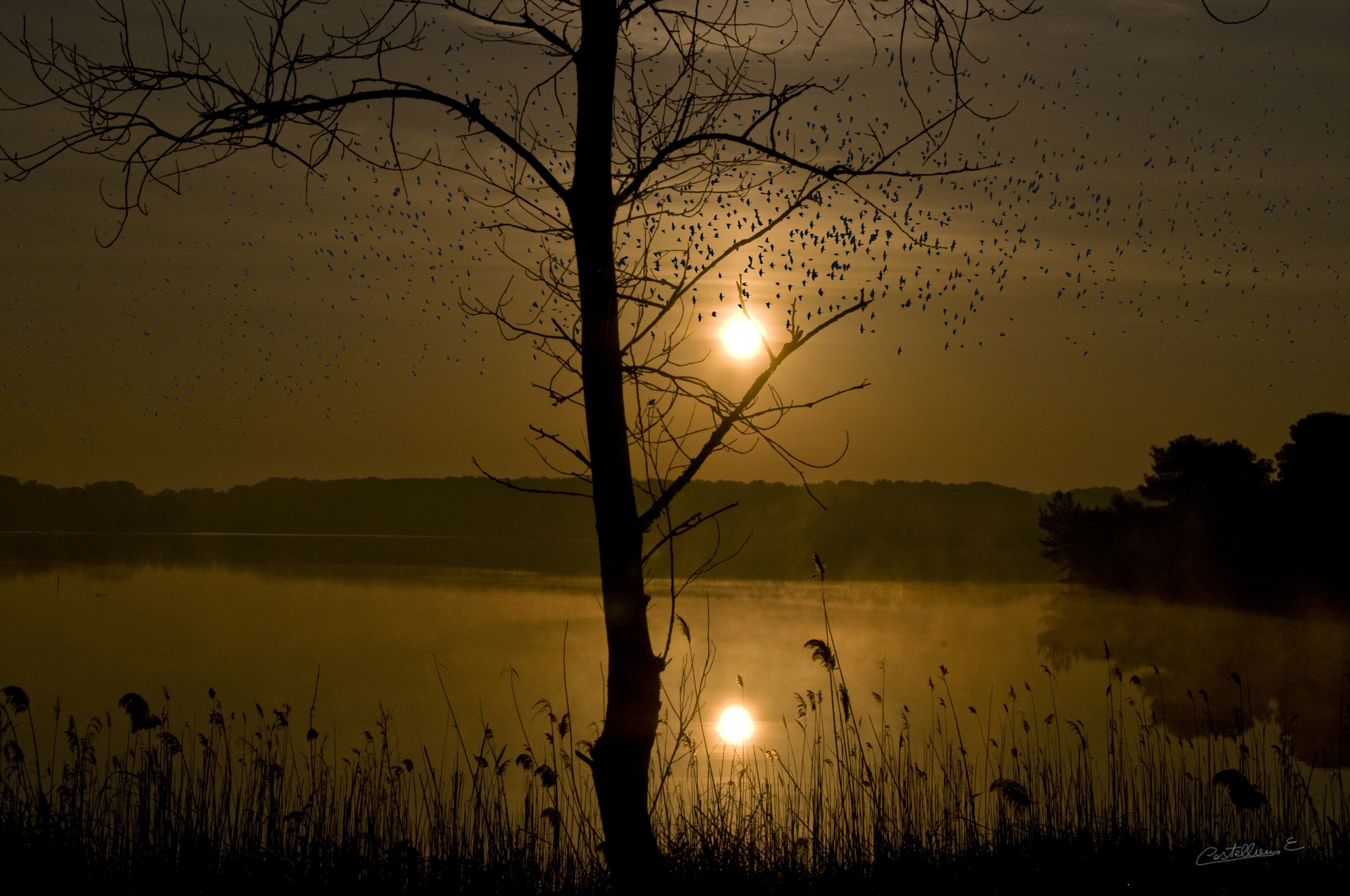 Lago Alimini                    Paesaggio