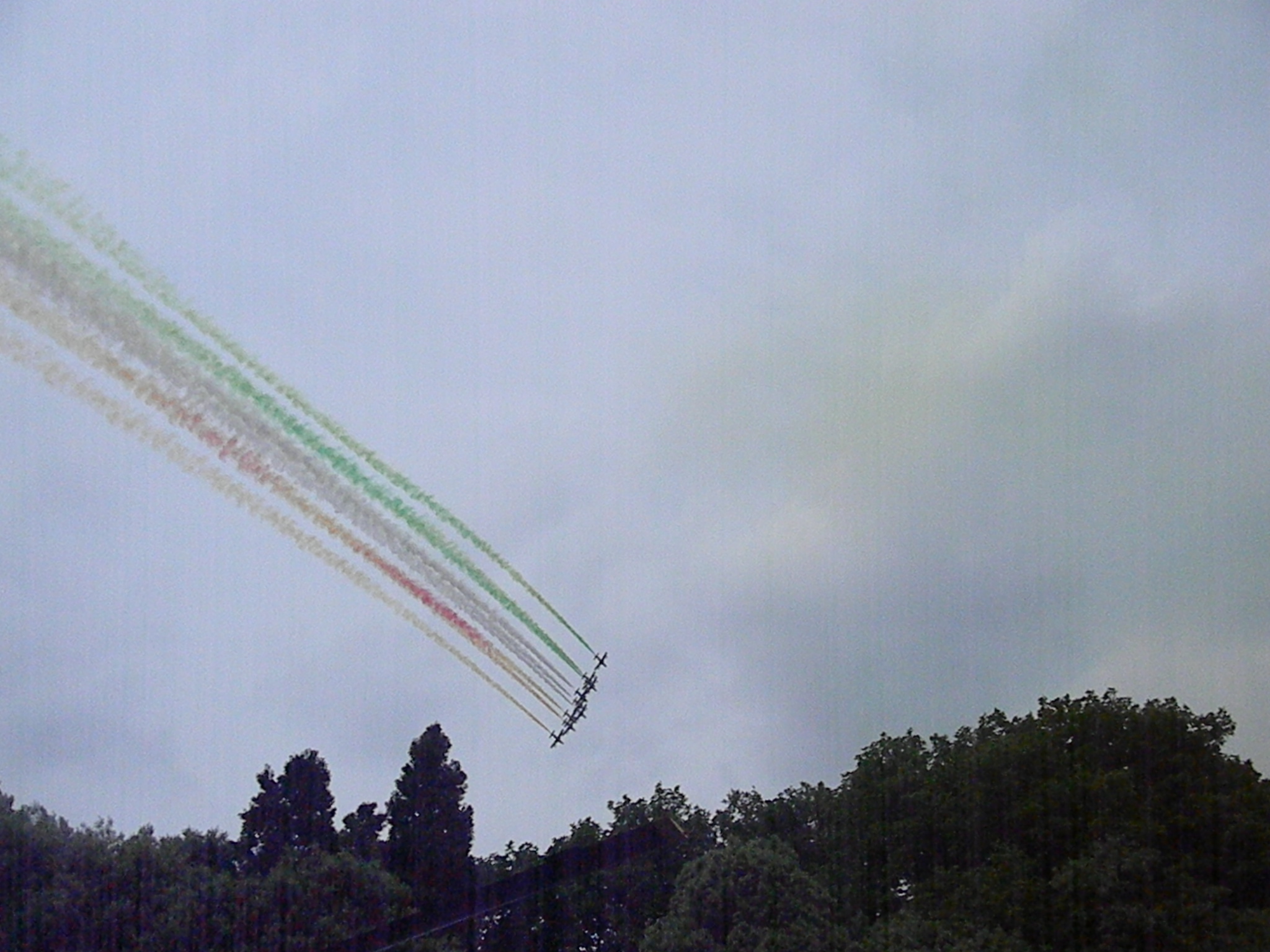 Arrows tricolor (Pordenone)