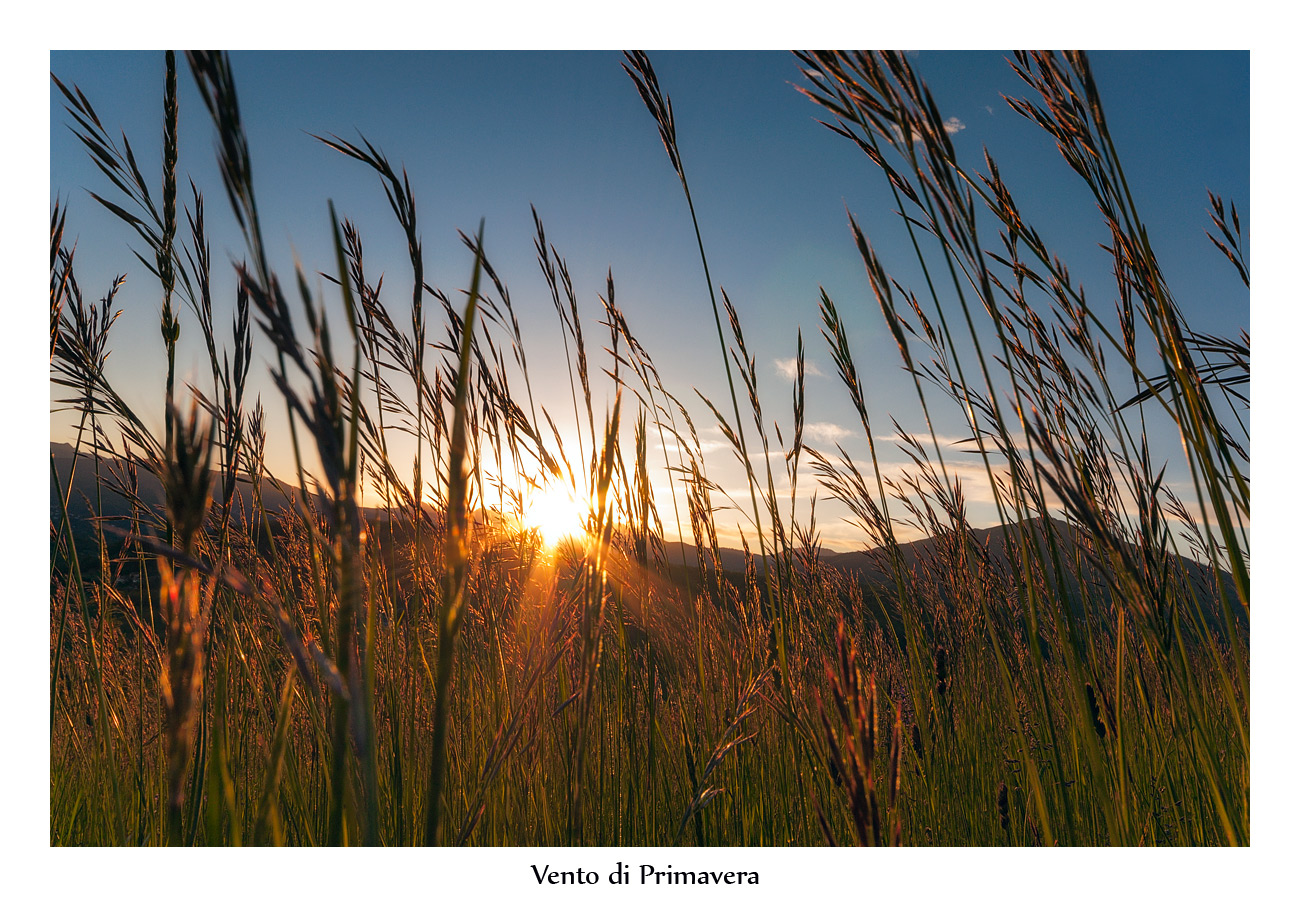 Vento di primavera ..