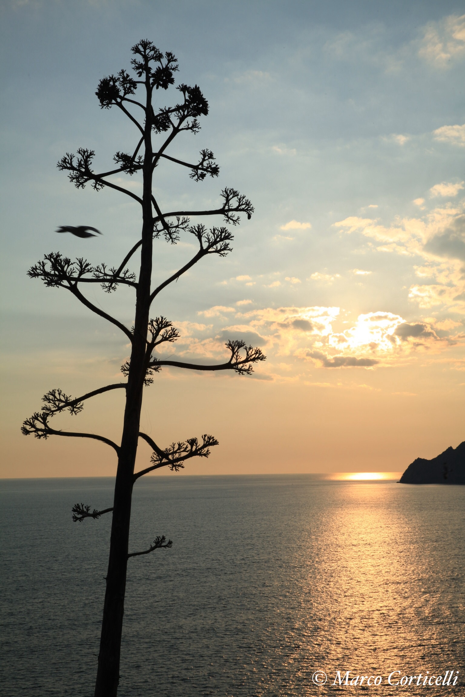 Tramonto a Vernazza