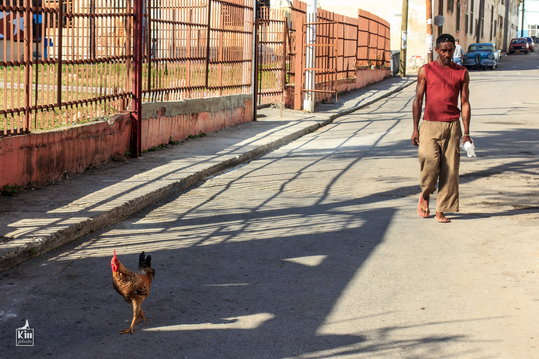 Per le strade de La Habana