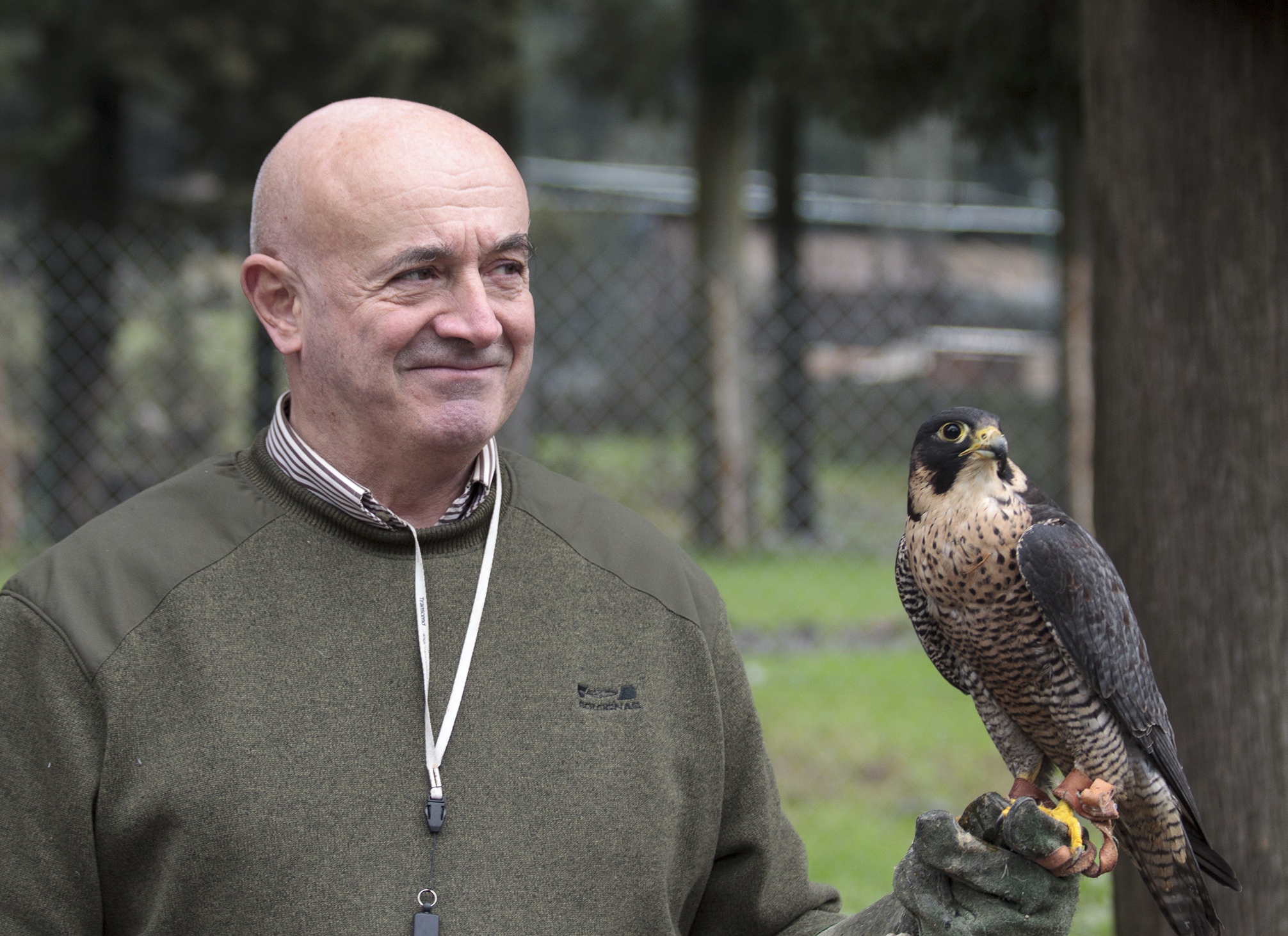 Portrait with Buzzard at the Center of Natural Sciences in P...
