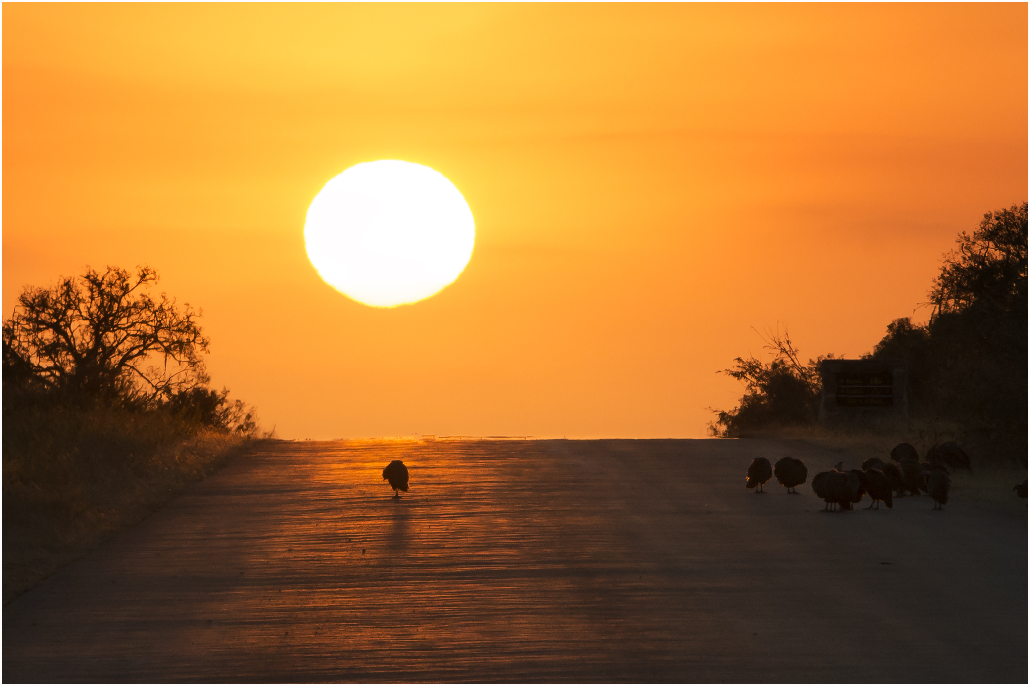 sunset along the road