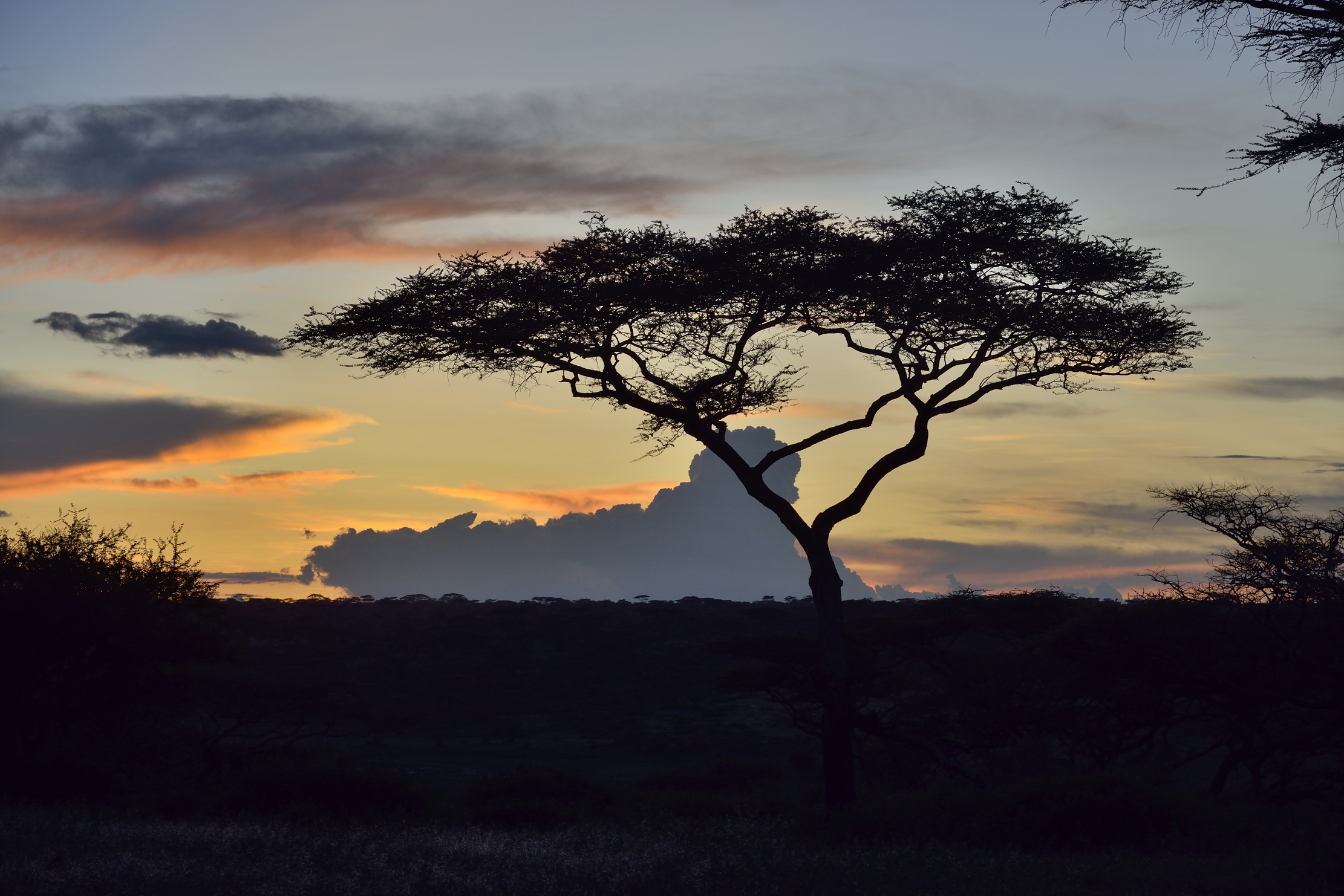 Ngorongoro Coservation Area - Tramonto