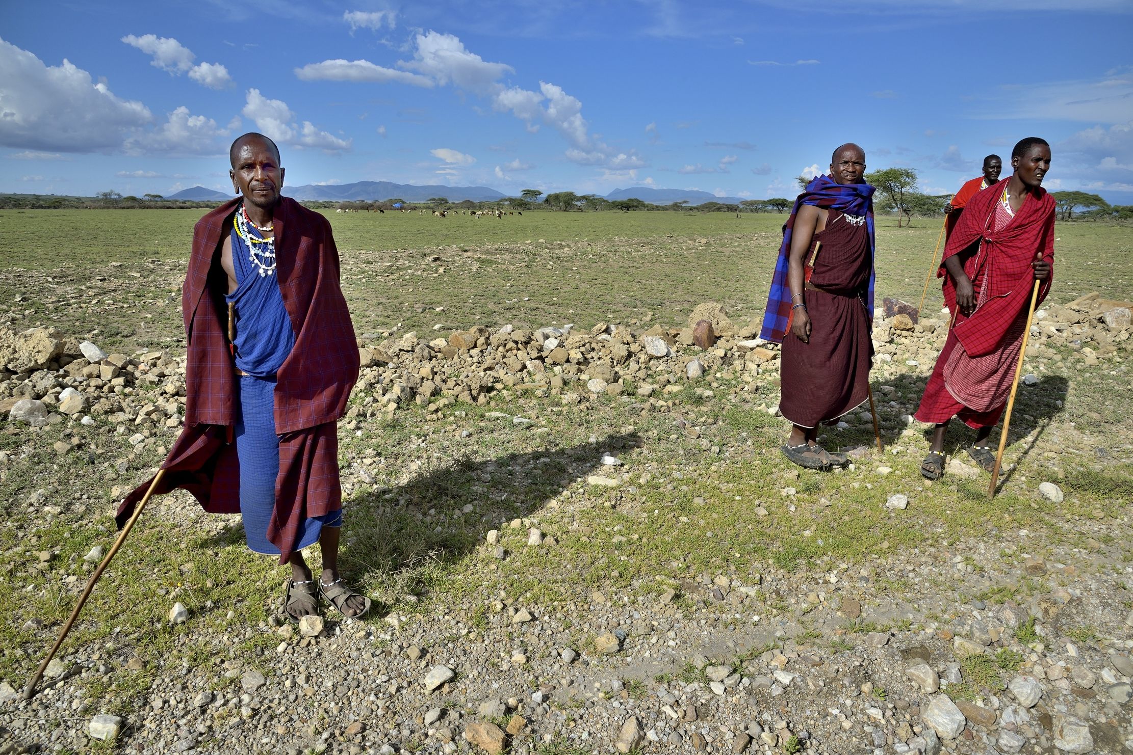 Ngorongoro Coservation Area - Masai