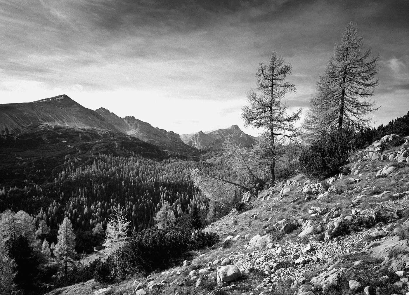 Glimpse of the Fanes-Senes-Braies Natural Park