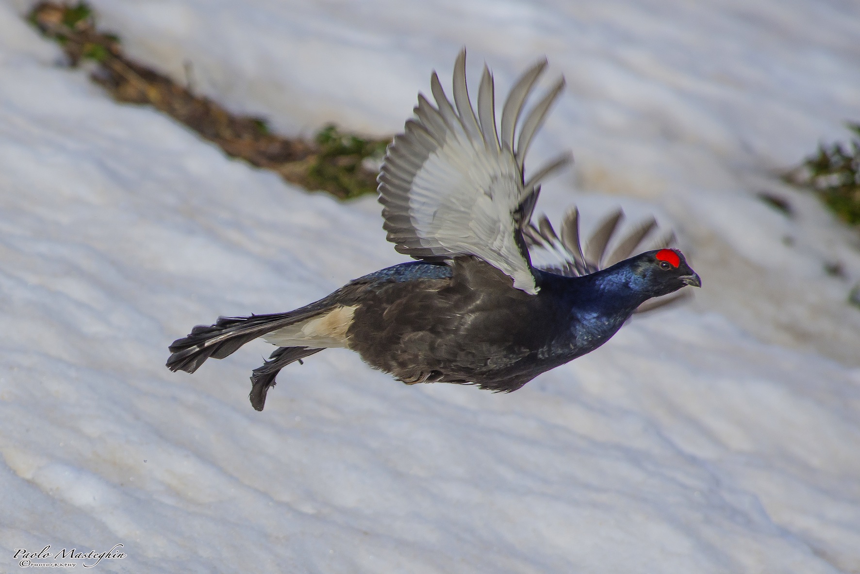 Un vero missile......