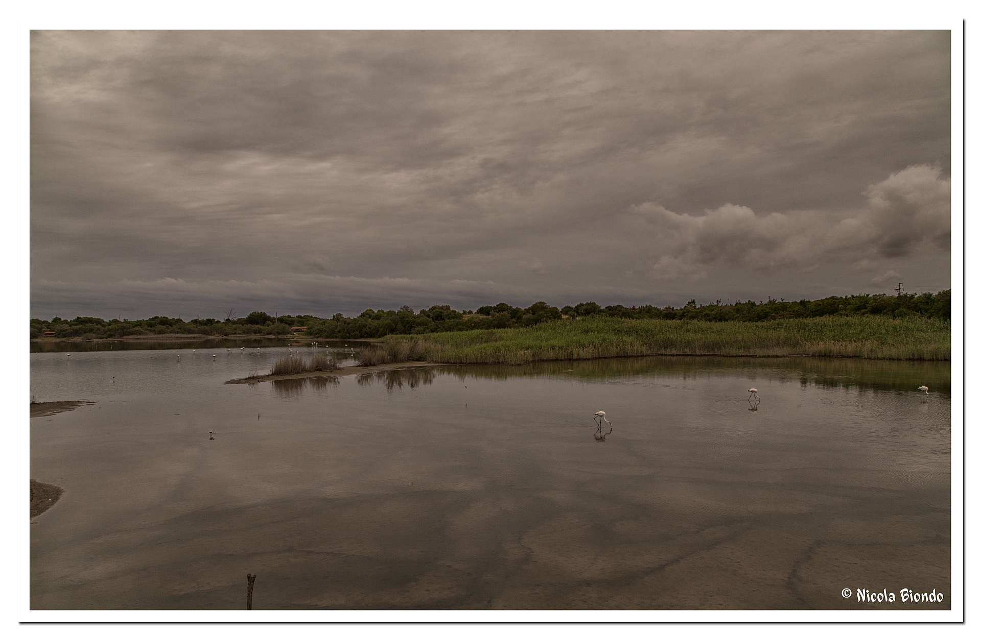 Riserva naturale orientata, a Priolo