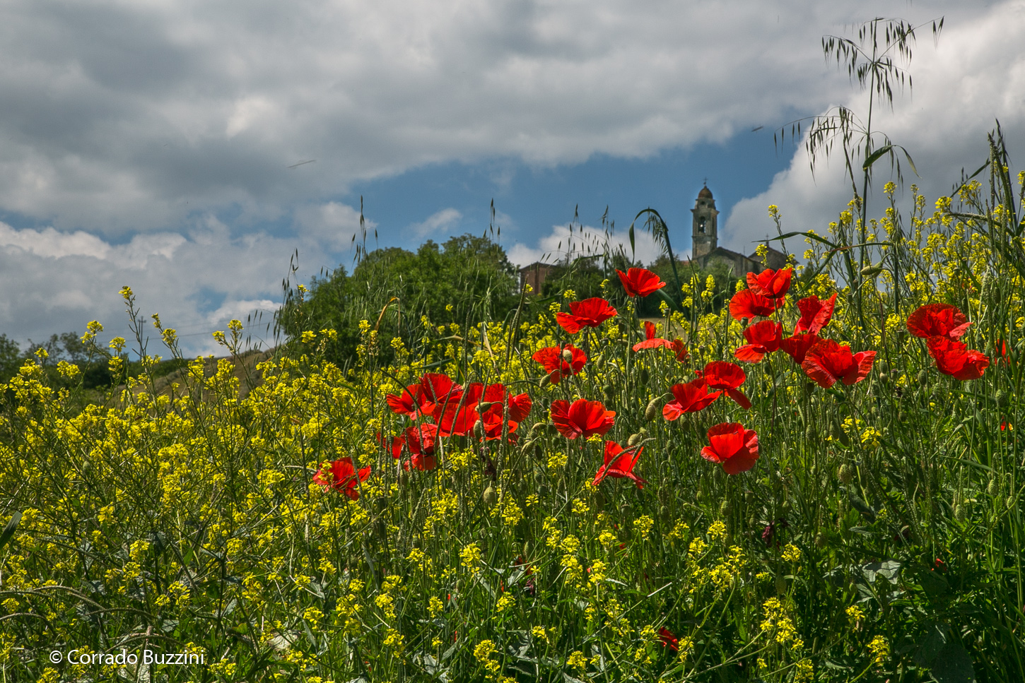 Tidone and his campaign
