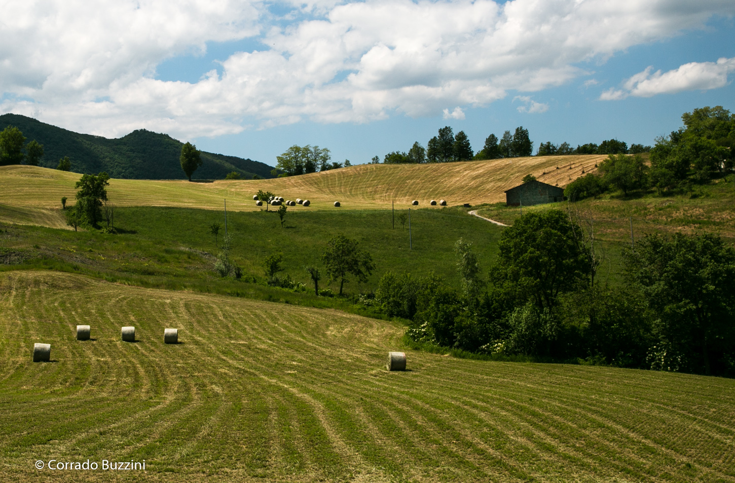 spring landscape in Val Tidona