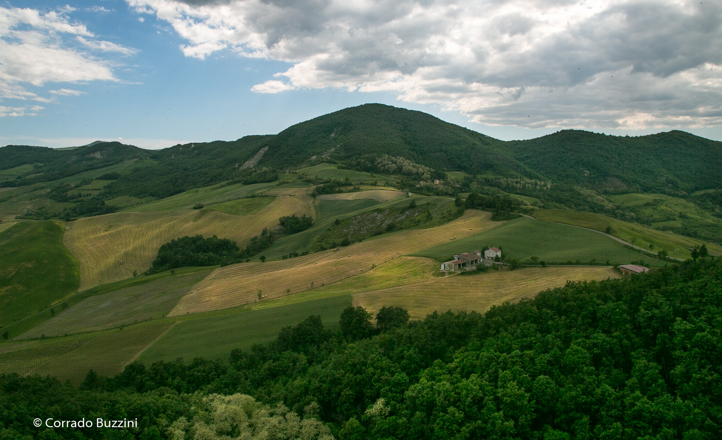 meadows of the valley Tidone