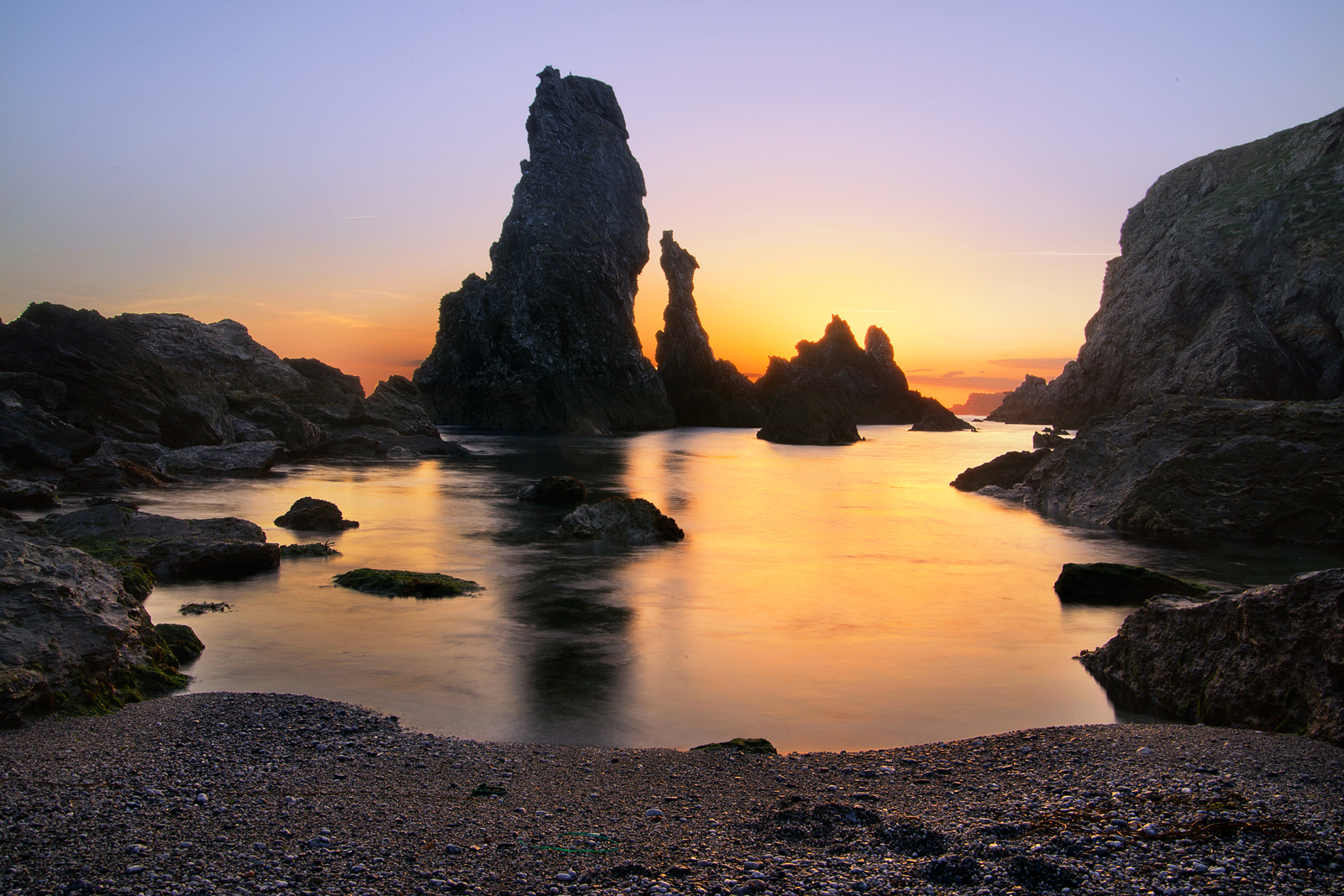 Les aiguilles de port coton