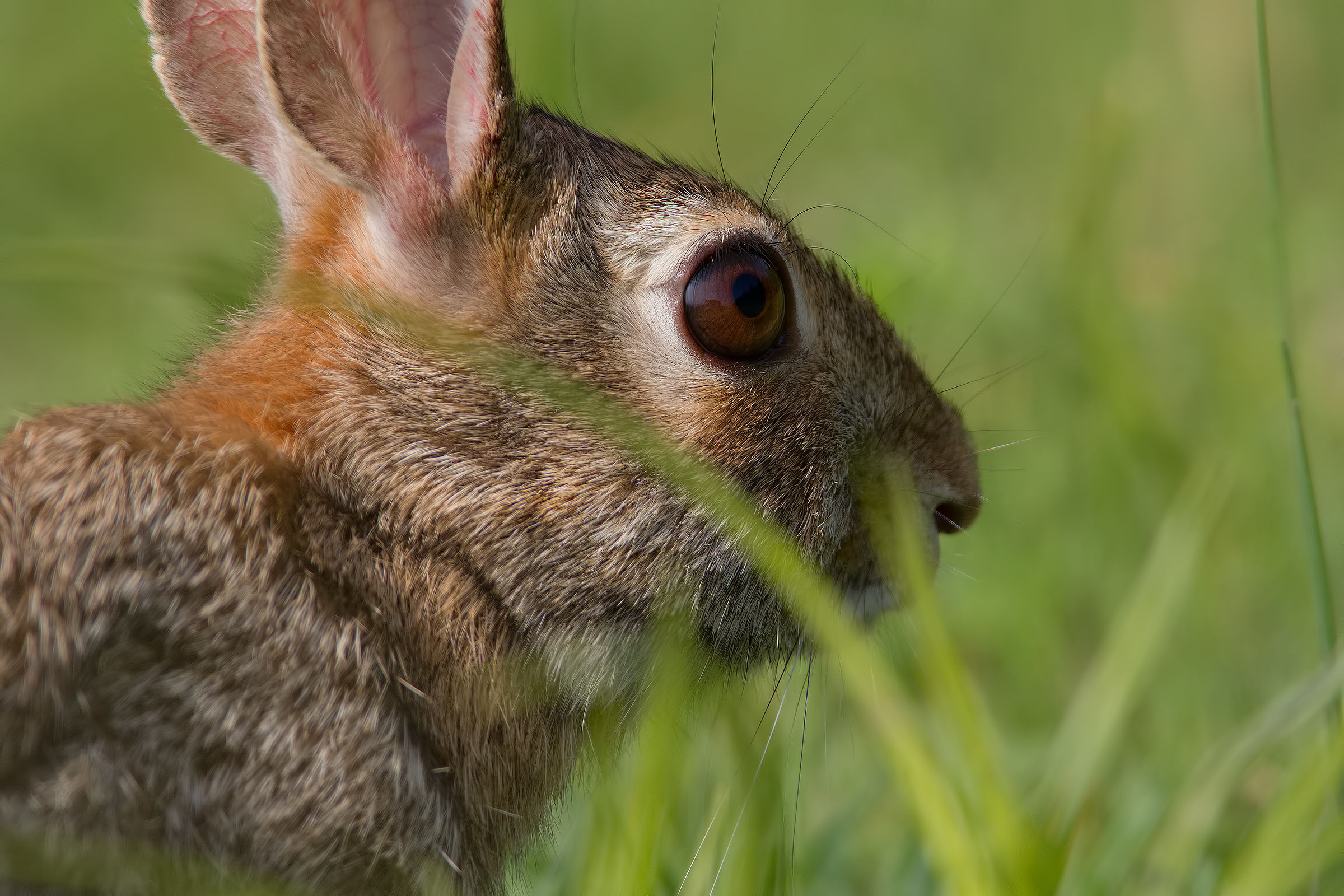 Too close ...! No crop