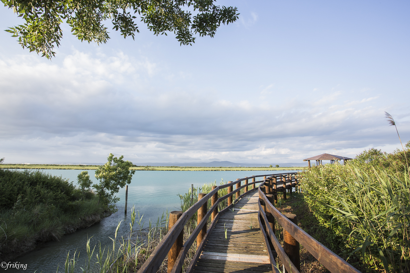 Isola della Cona mouth of the Isonzo