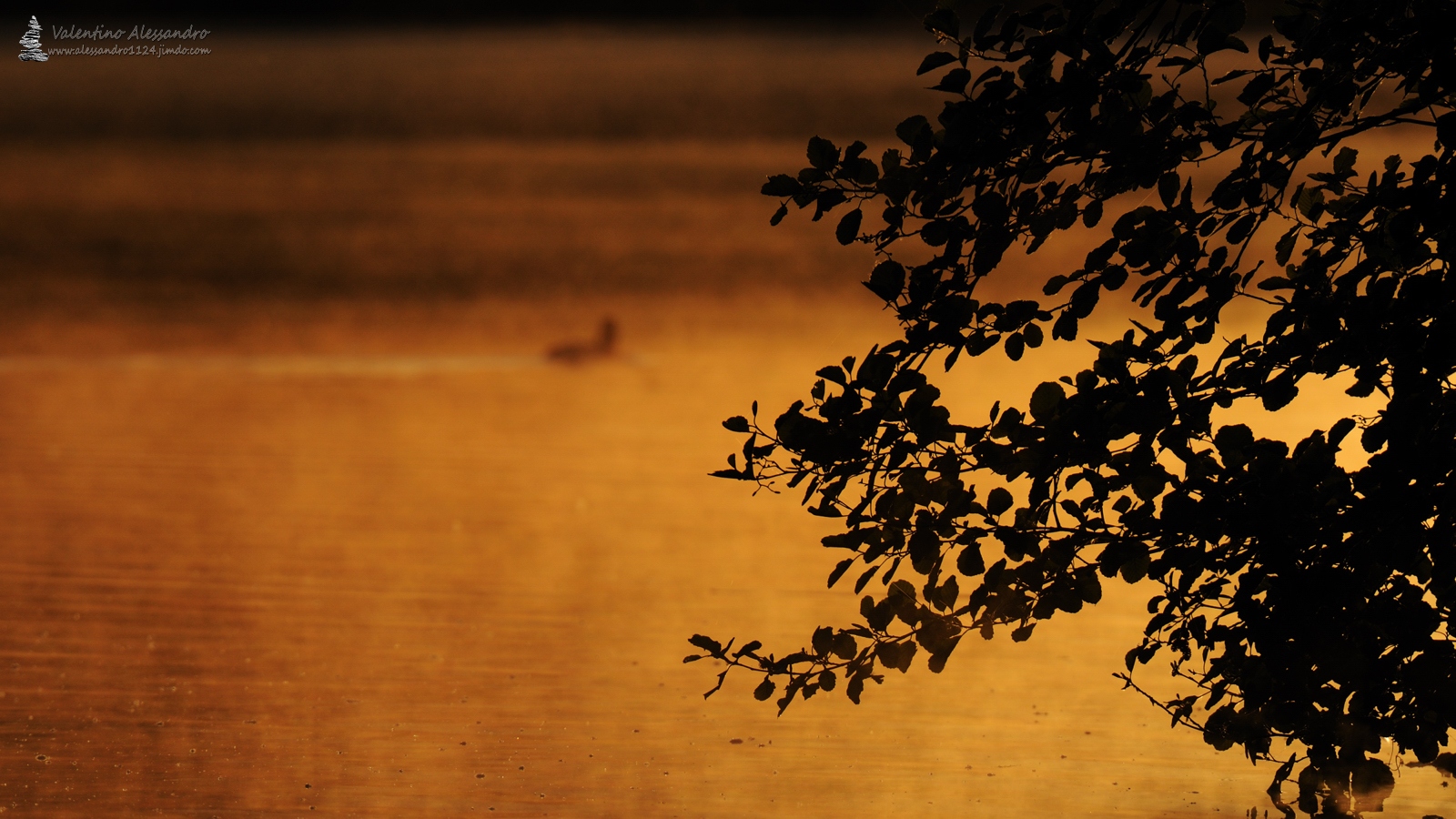 Early morning lights