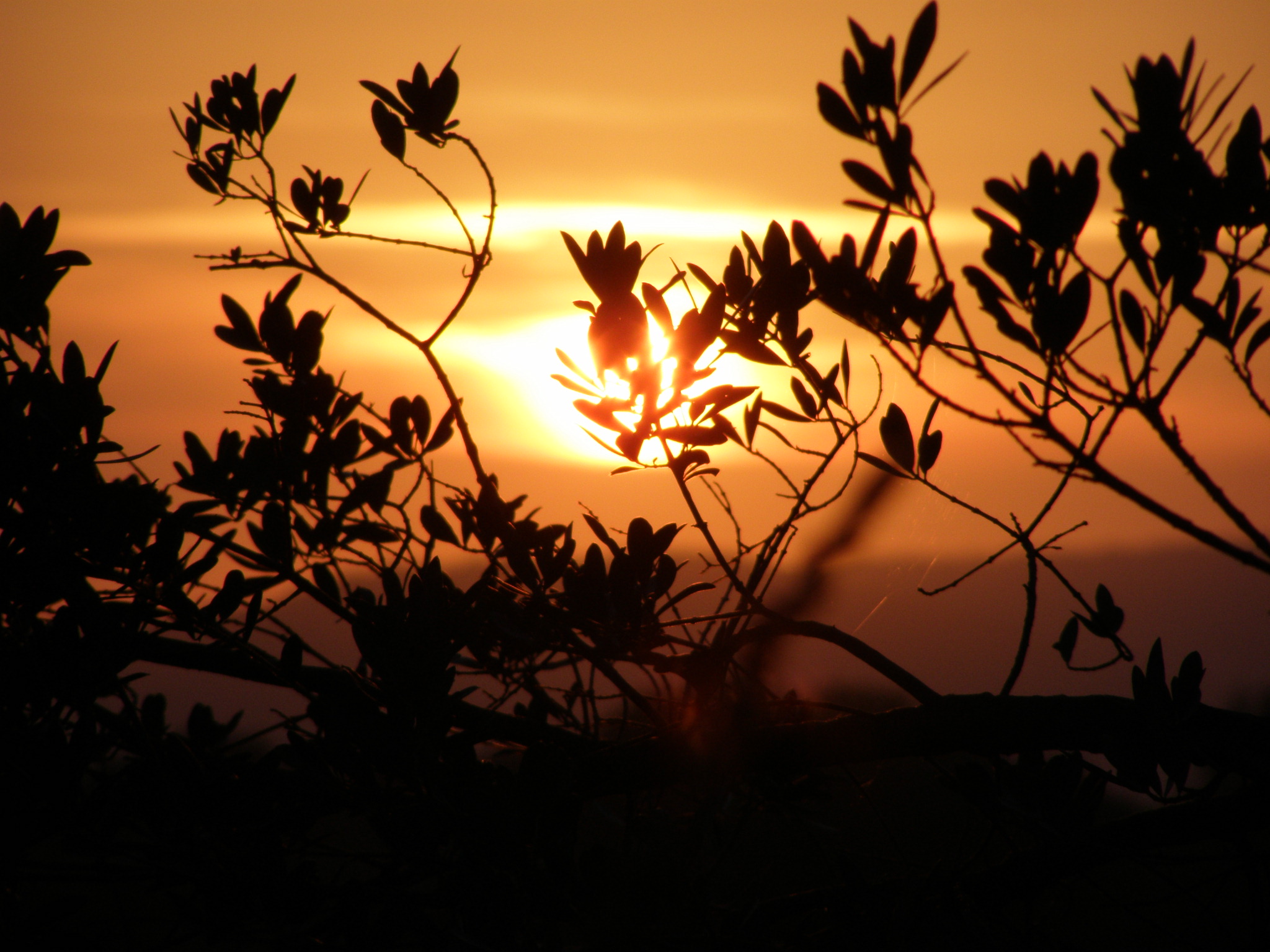 Colori della Toscana 2