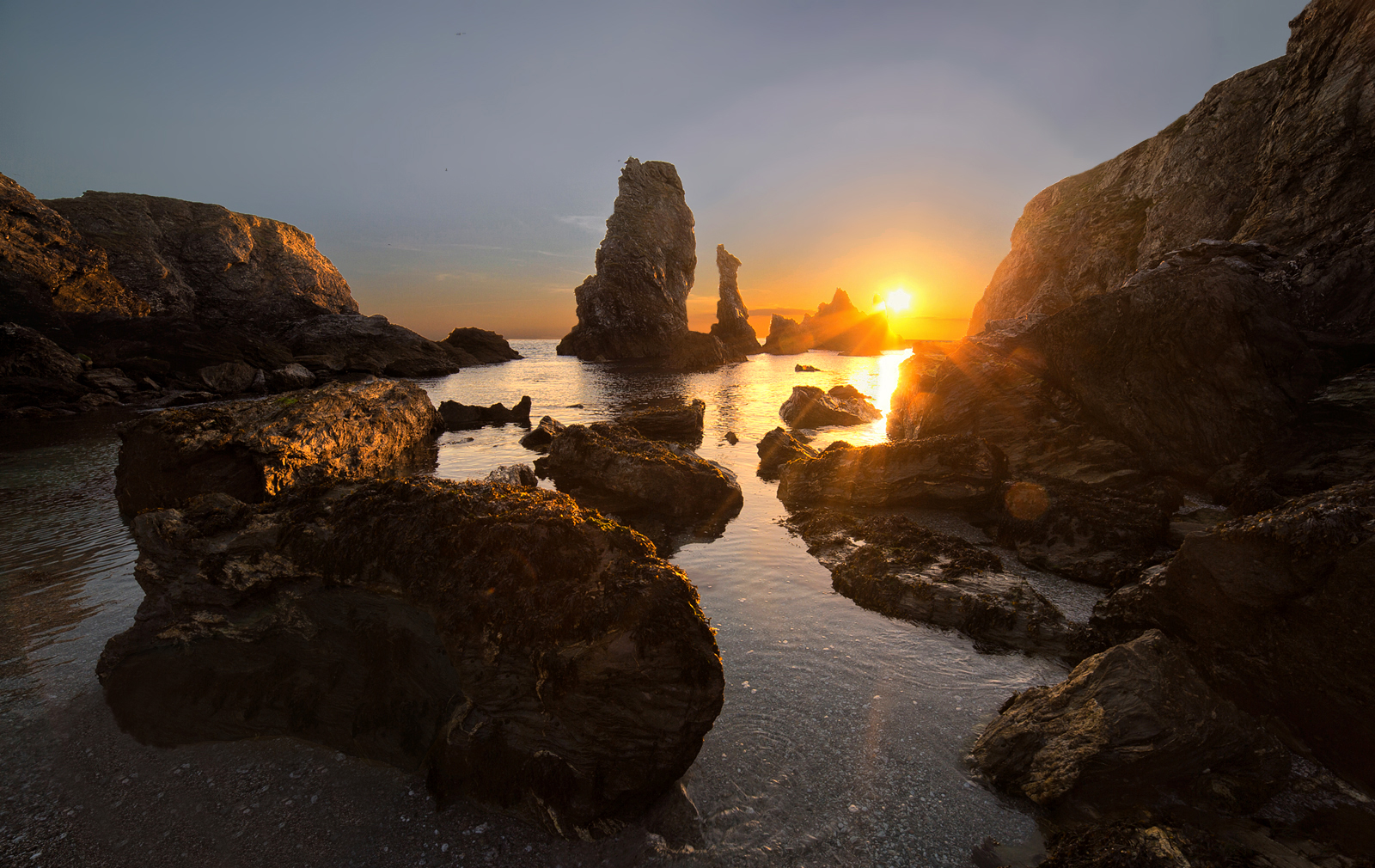 Le aiguilles de port coton