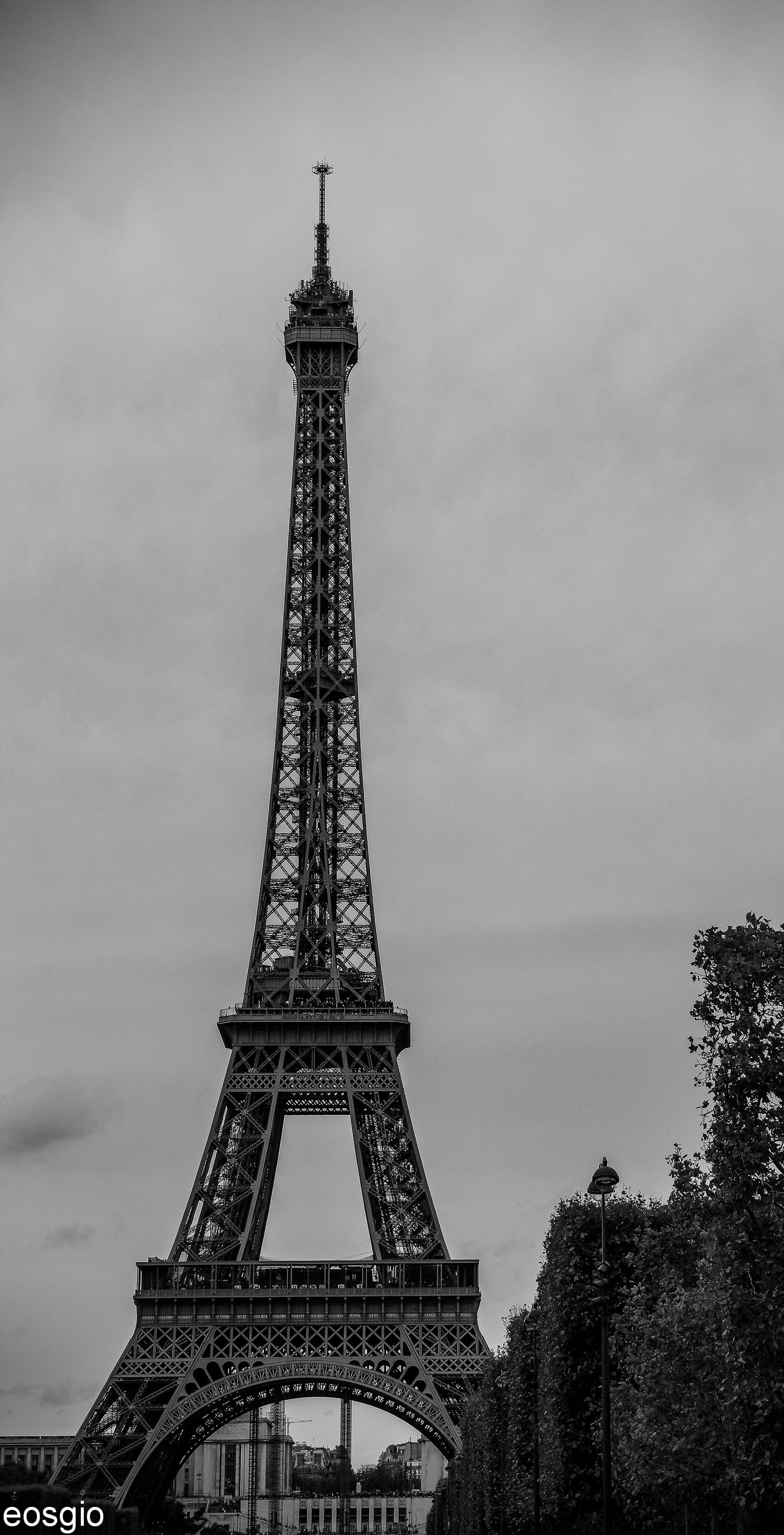 Eiffel Tower B / W
