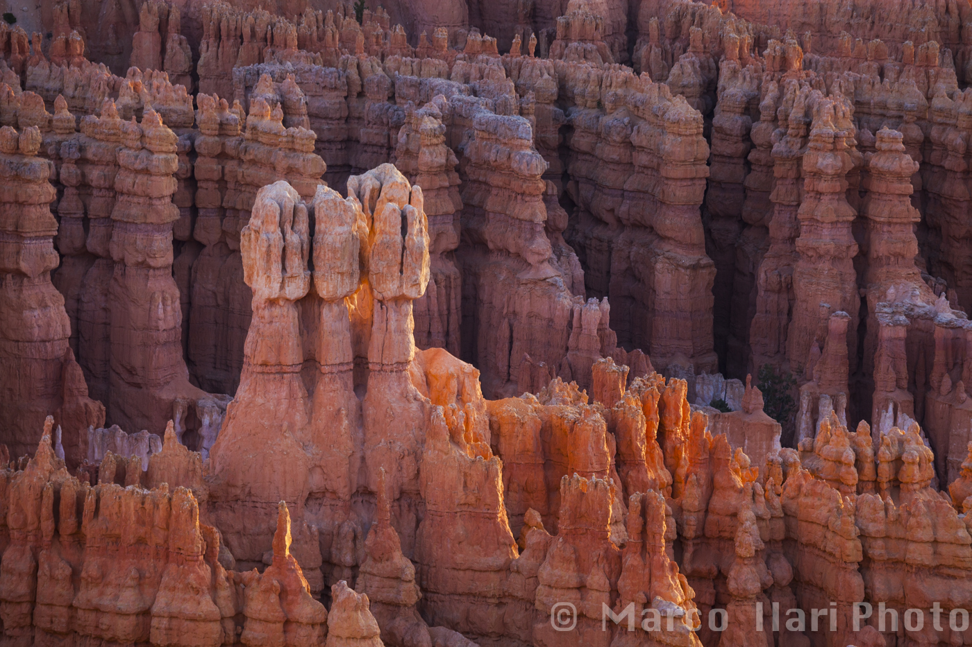 Bryce Canyon: hodoos