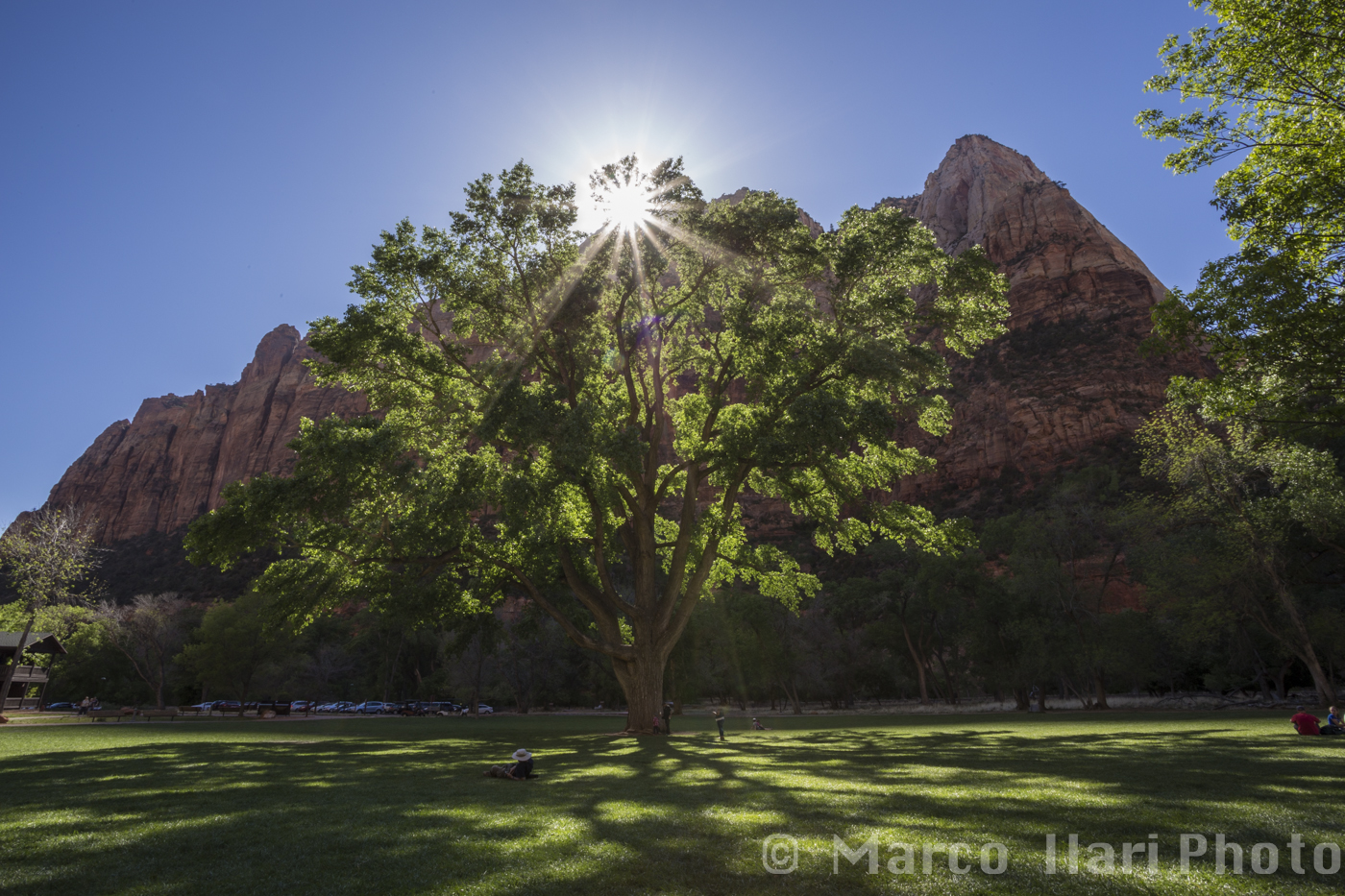 Zion National Park