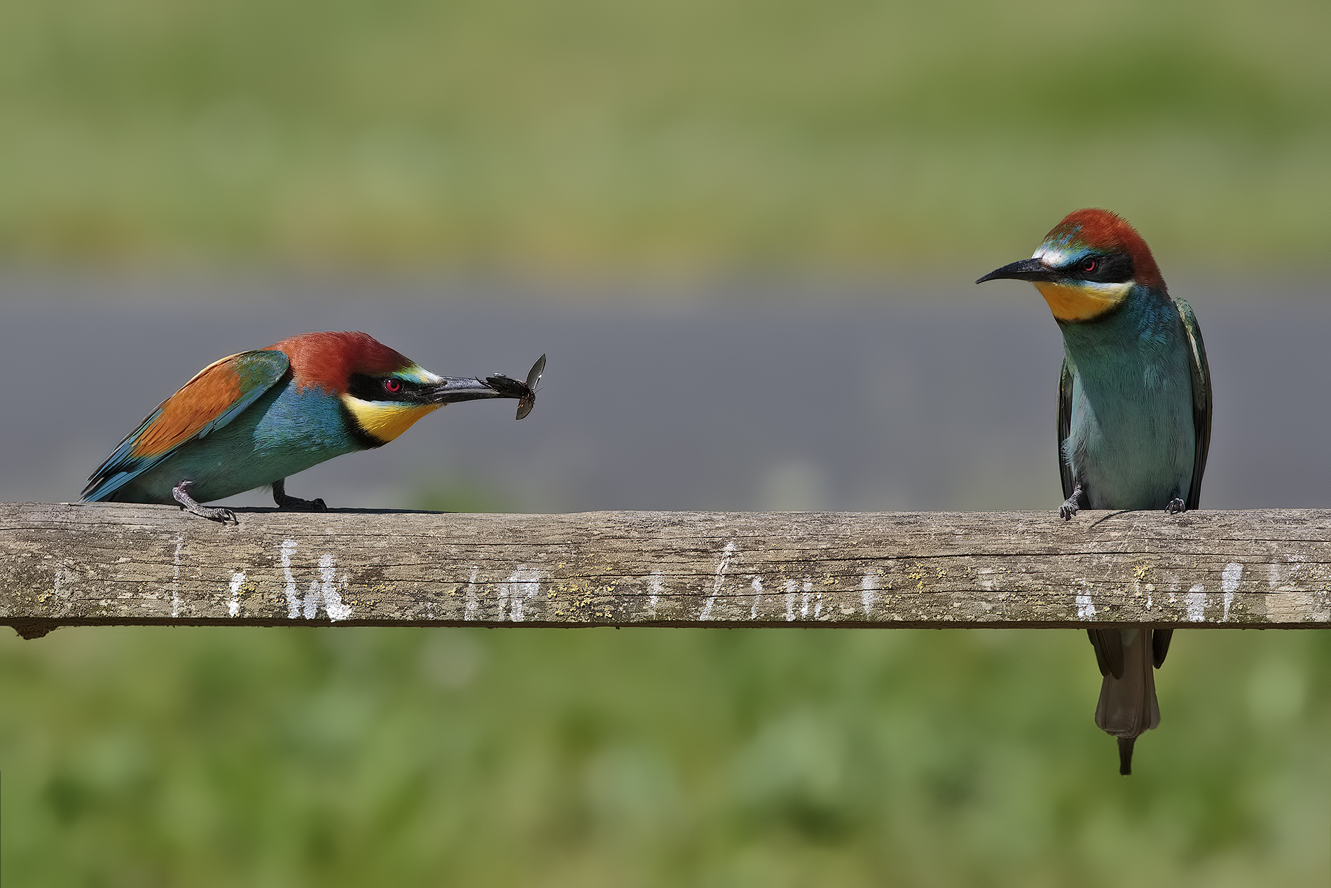 gift .... not appreciated ....