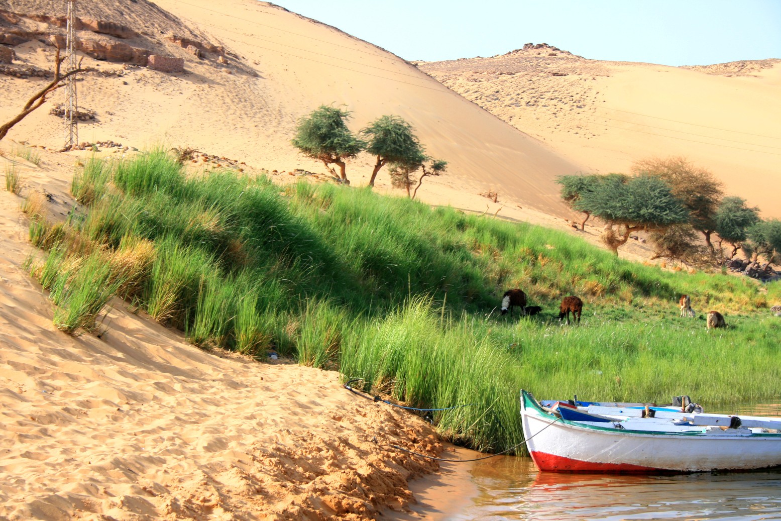 The colors that brings the river