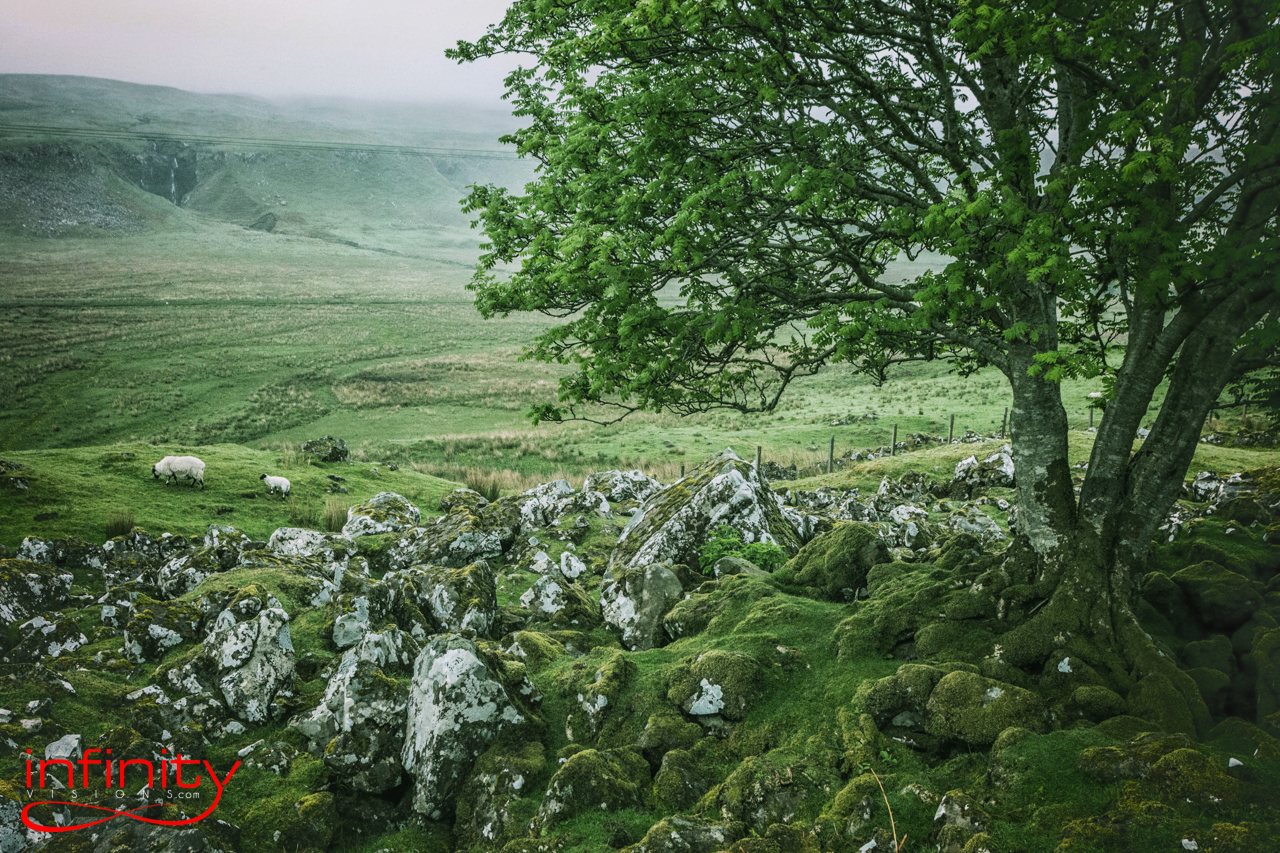 Scottish countryside