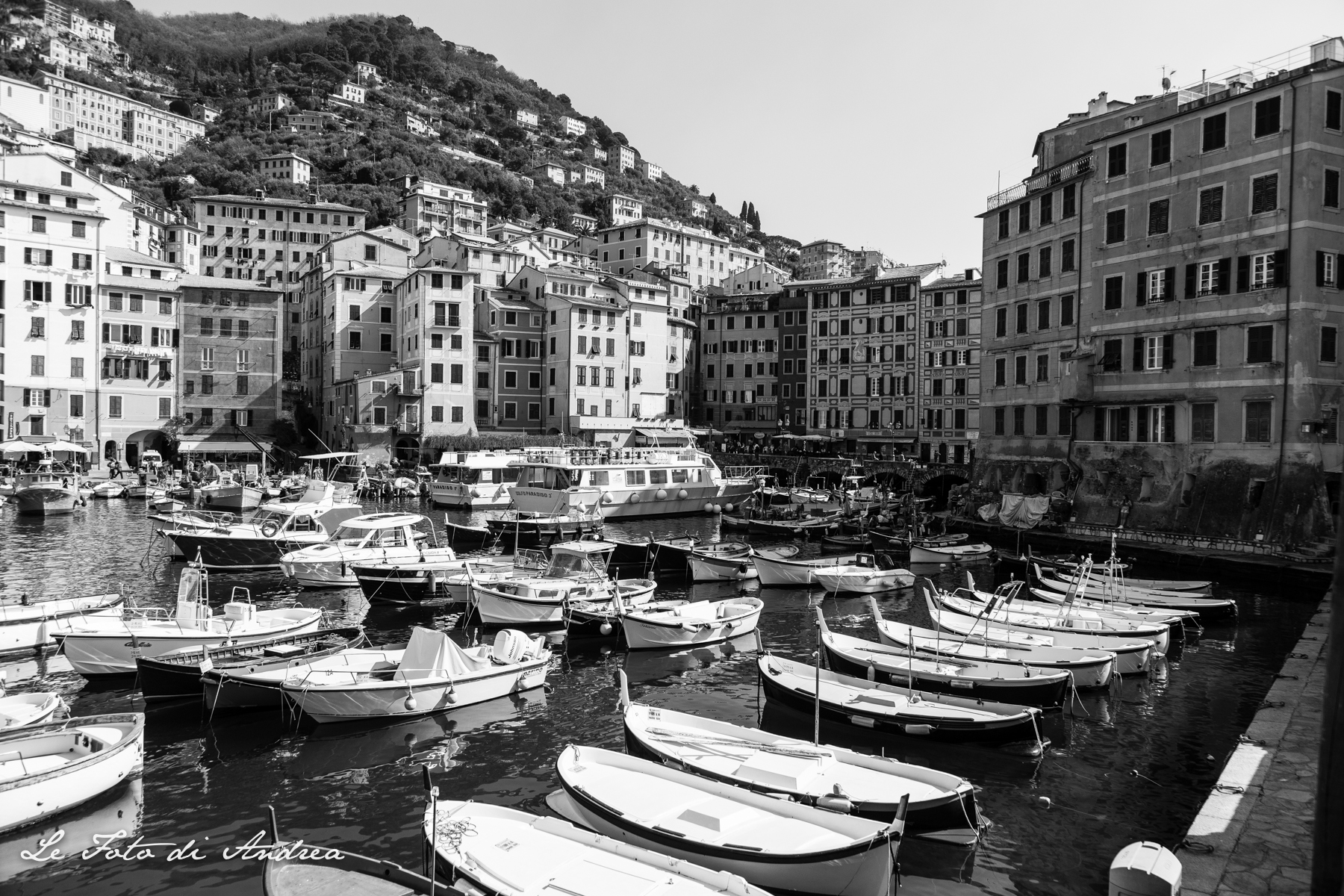Camogli_6