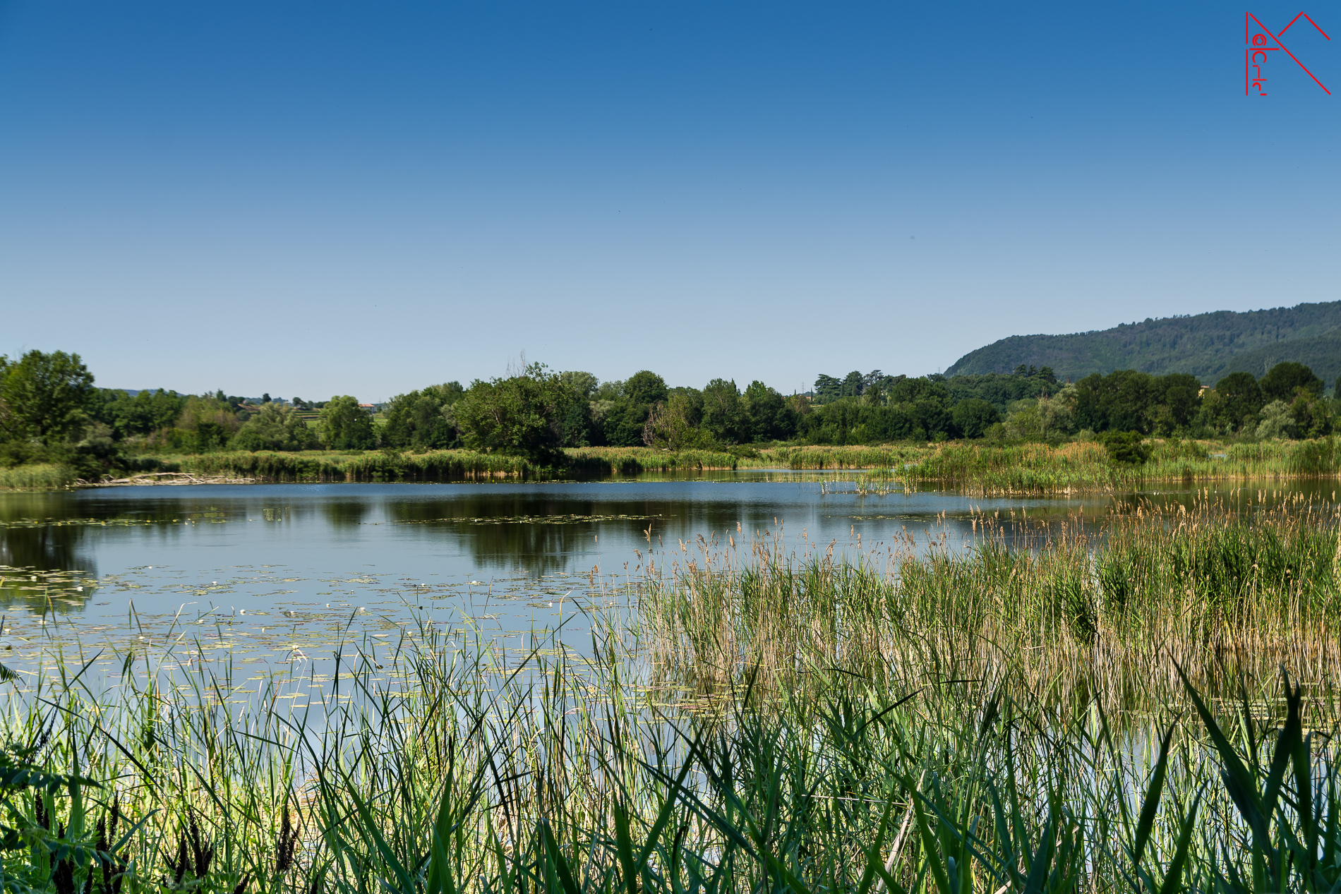 The bogs of the Lake