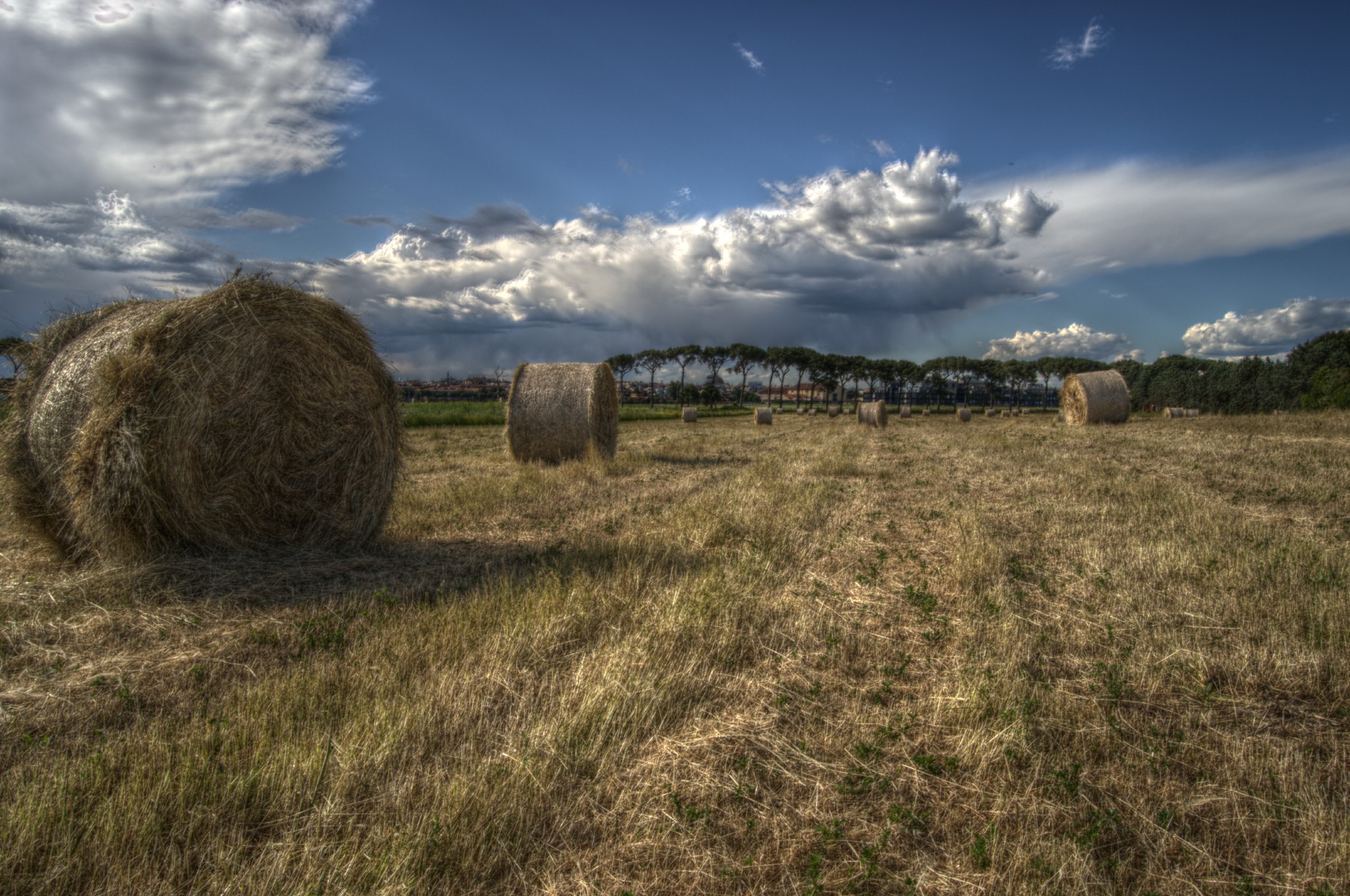 Harvest to the Aqueducts Park