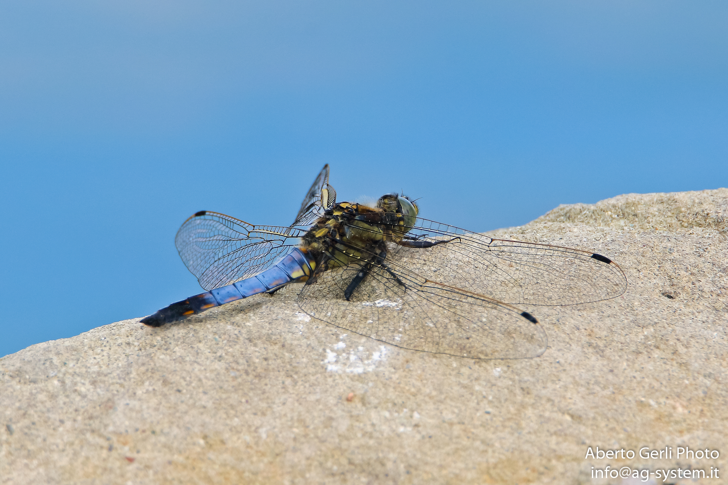 macro to 960mm equivalent