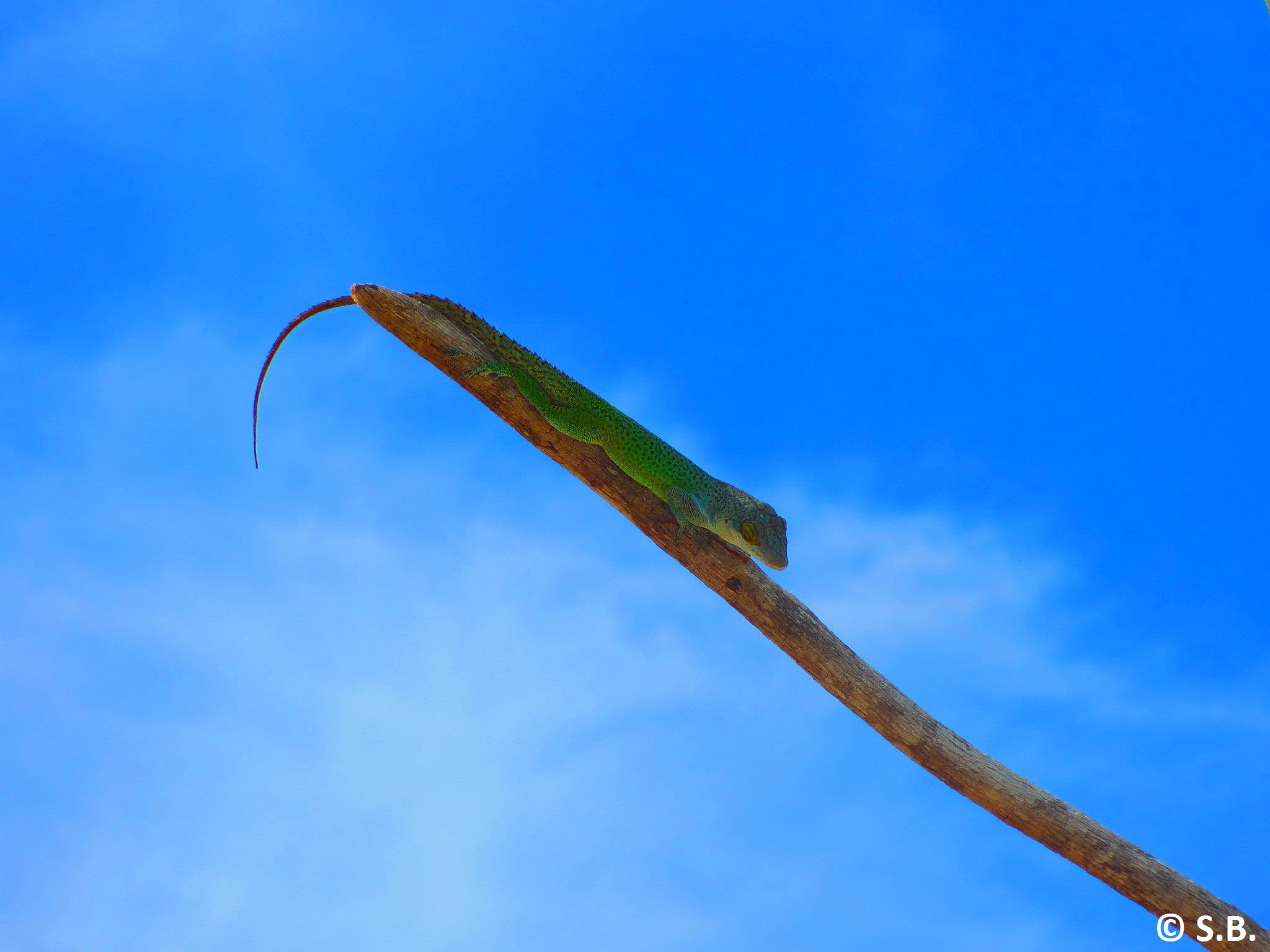 Antigua and Barbuda, small inhabitants