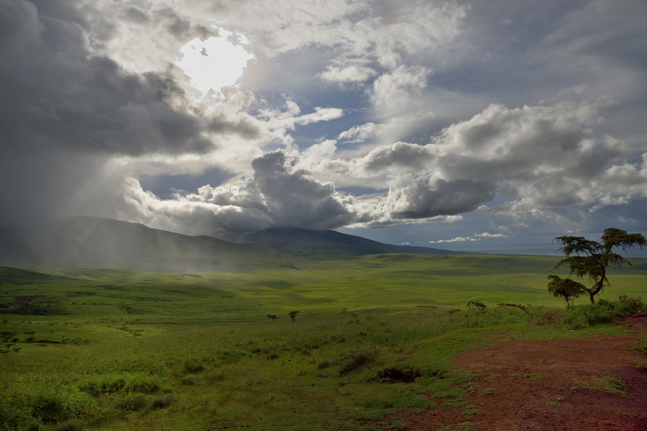 Ngorongoro Conservation Area - Paesaggio