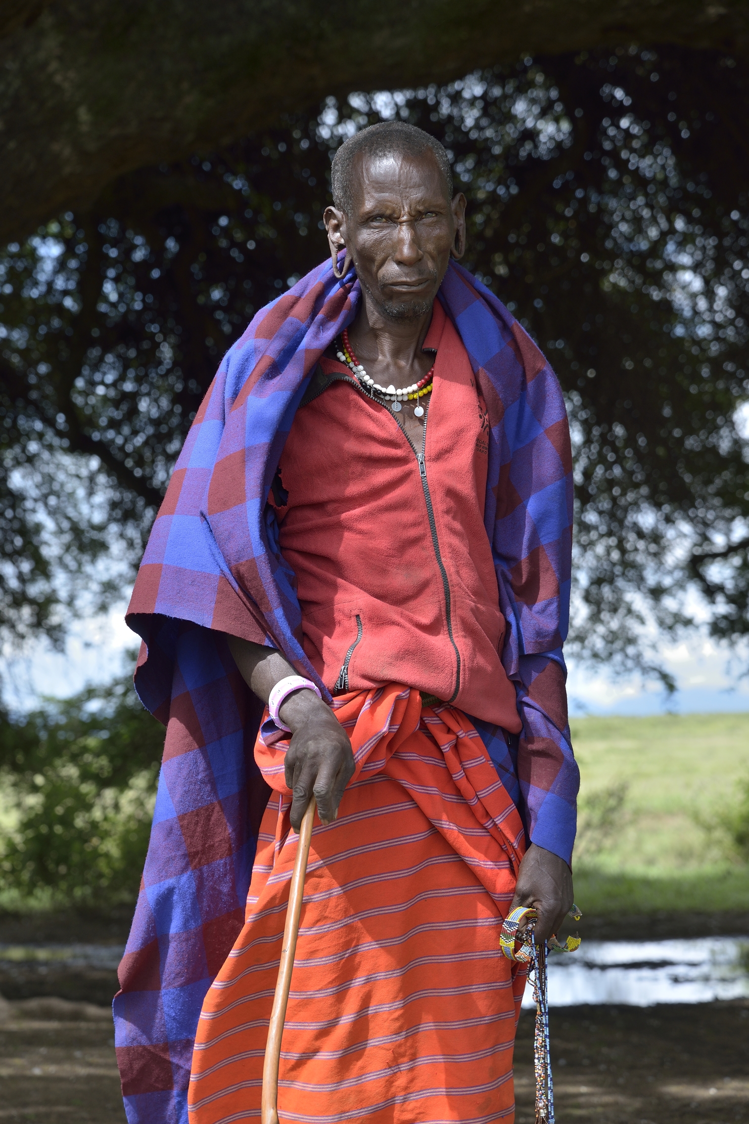 Ngorongoro Coservation Area - Masai