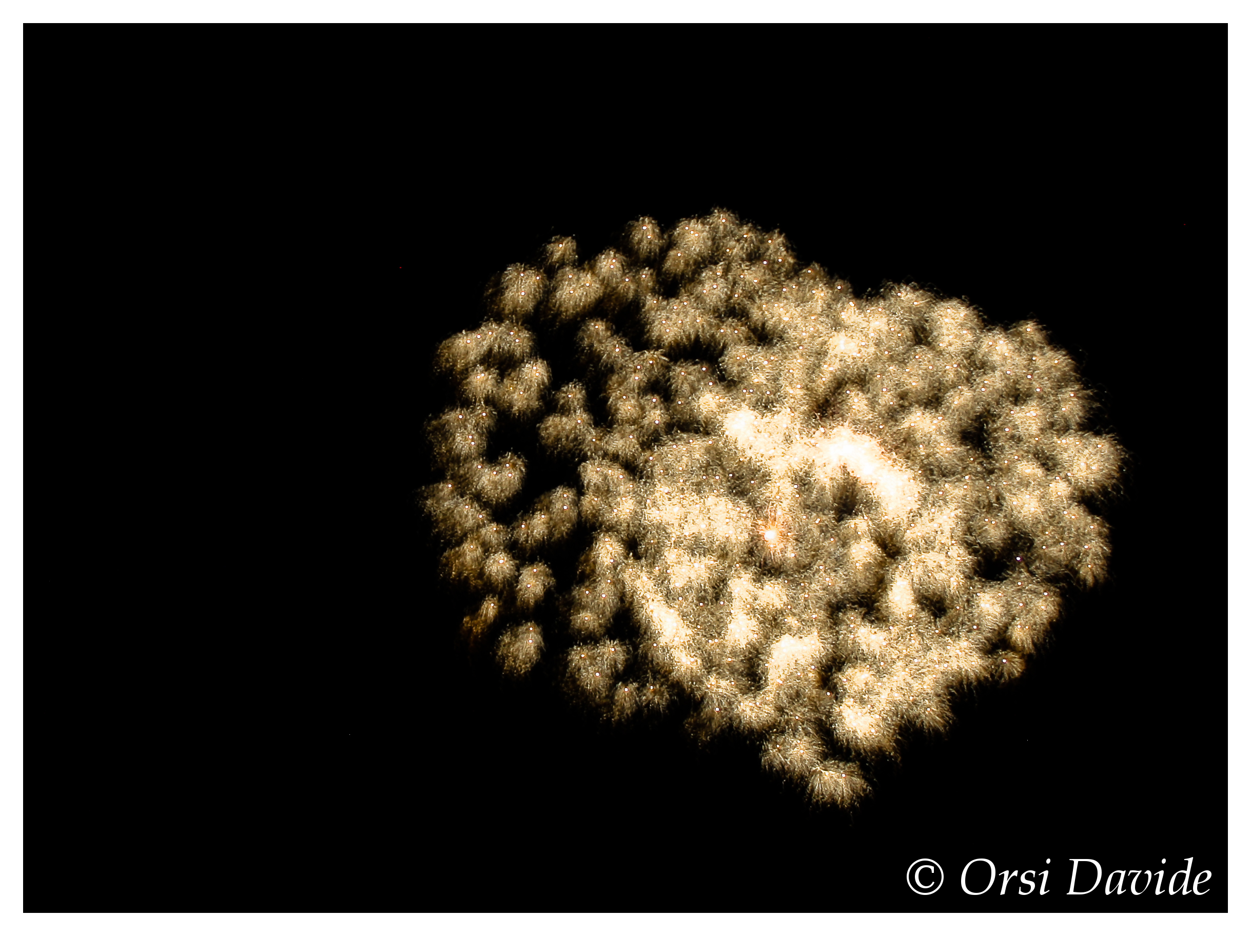 Fuochi d'artificio 2