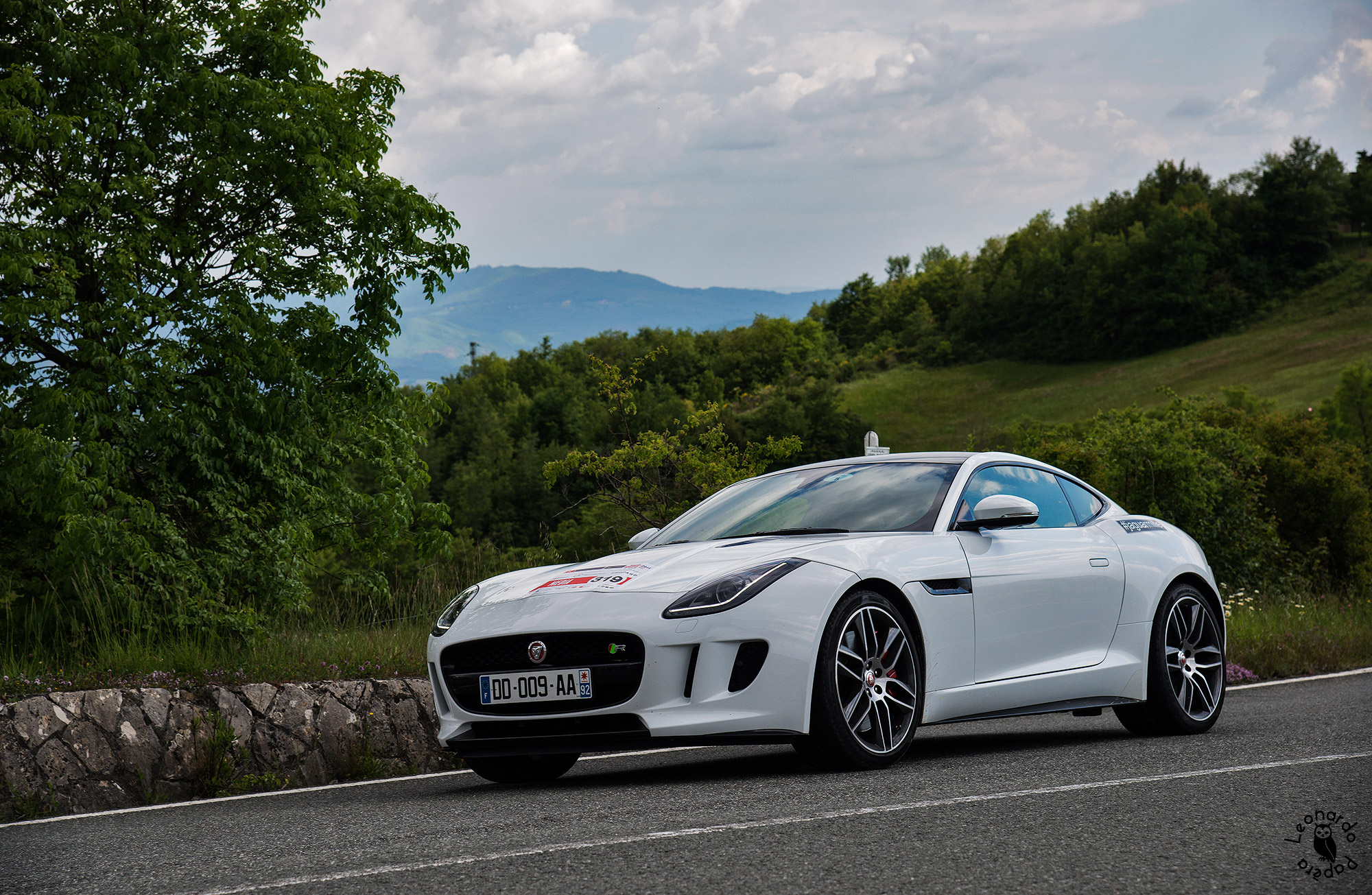 Jaguar F-Type V8 R #319 (Media)