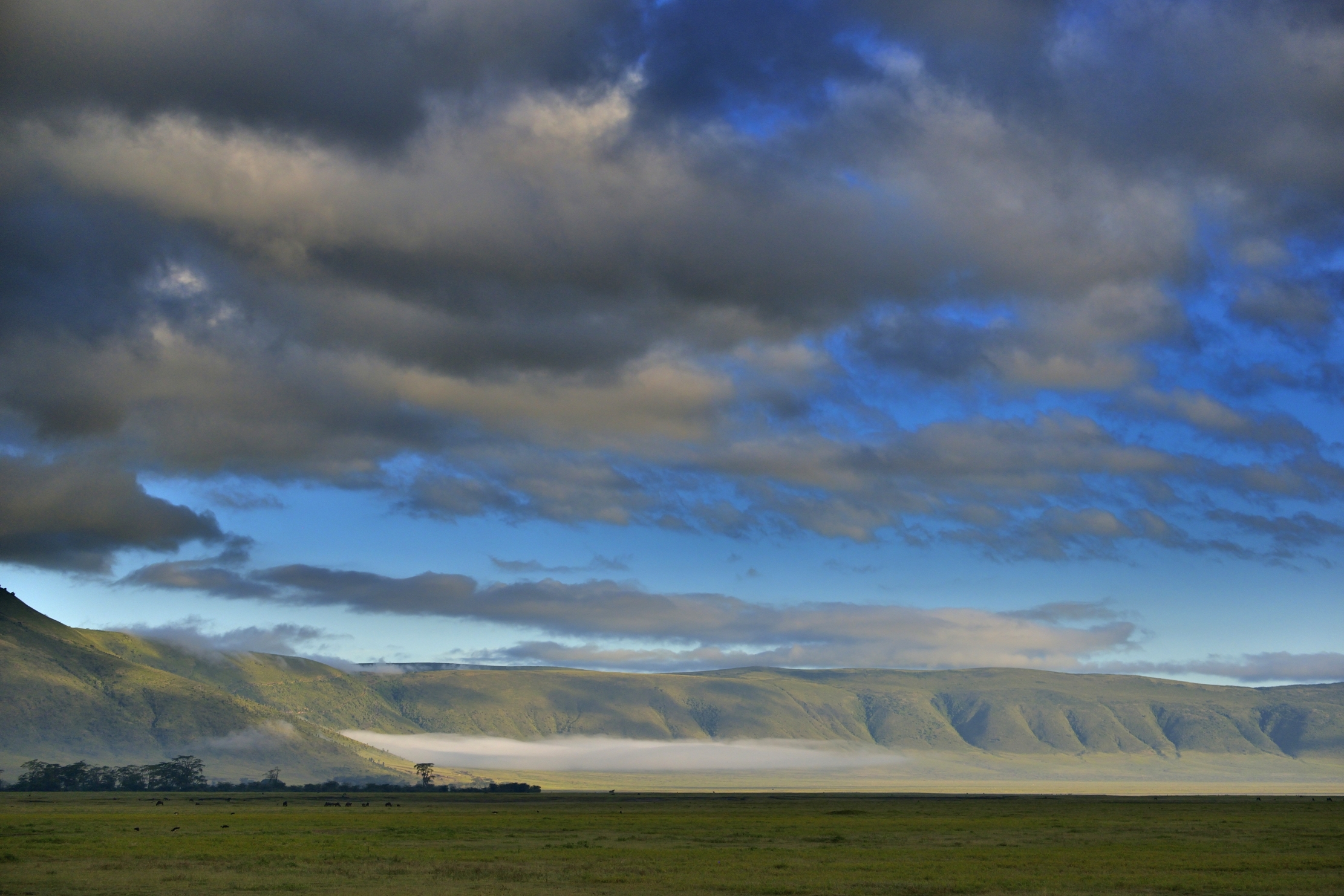 Ngorongoro Crater