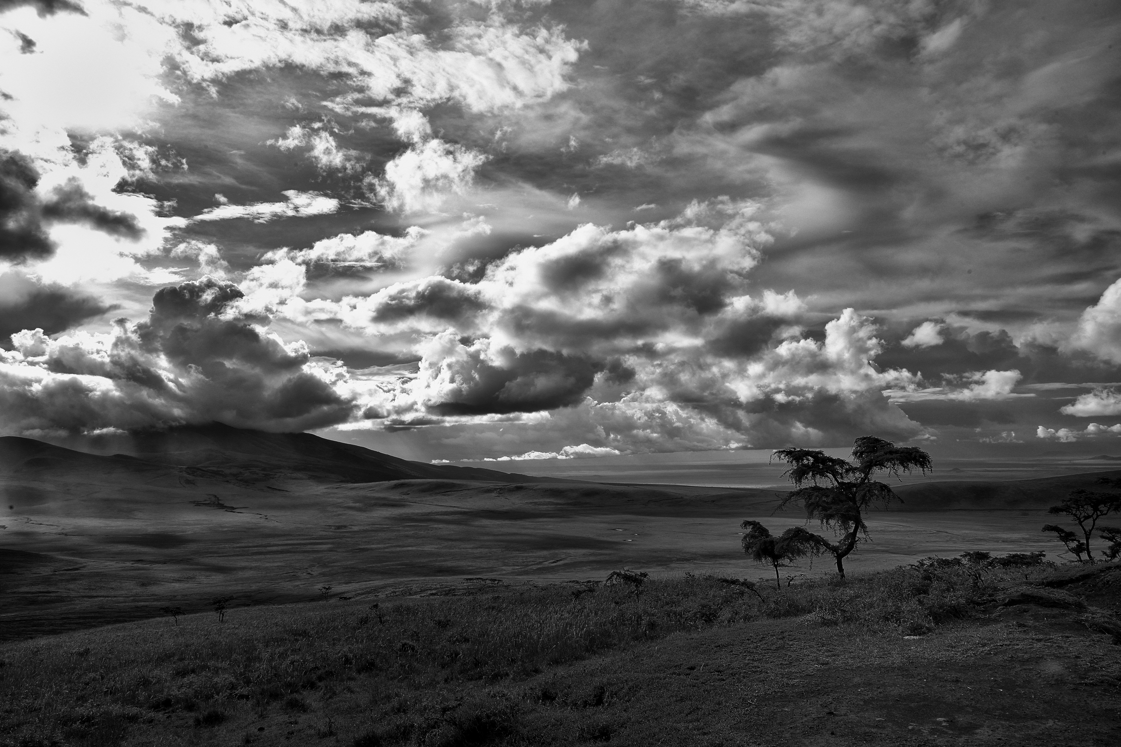 Ngorongoro Conservation Area