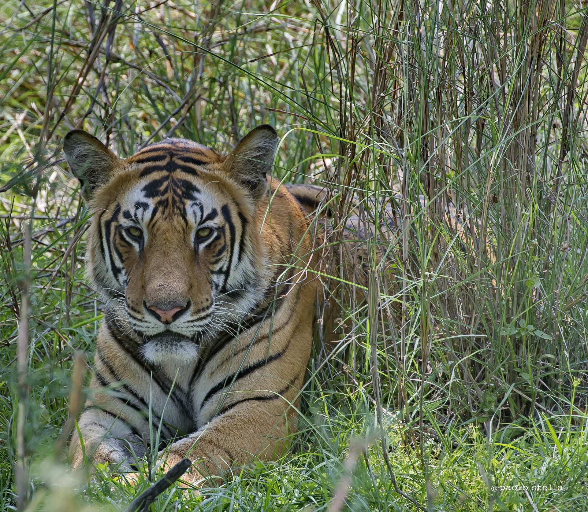 we are so close ....